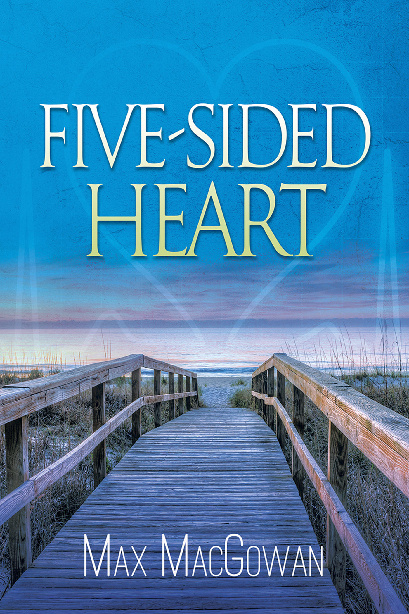 Cover image for Five-Sided Heart
