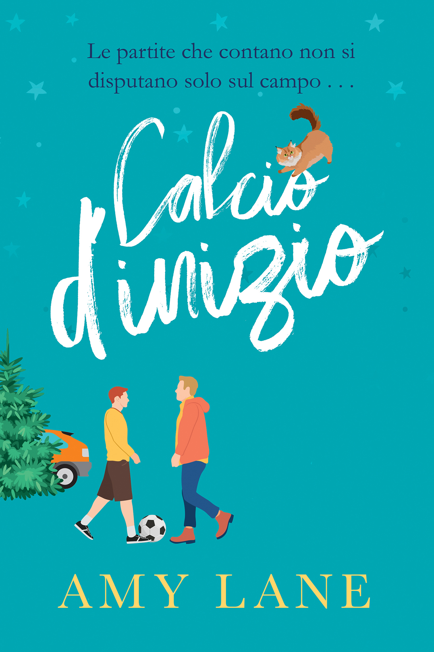 Cover image for Calcio dinizio