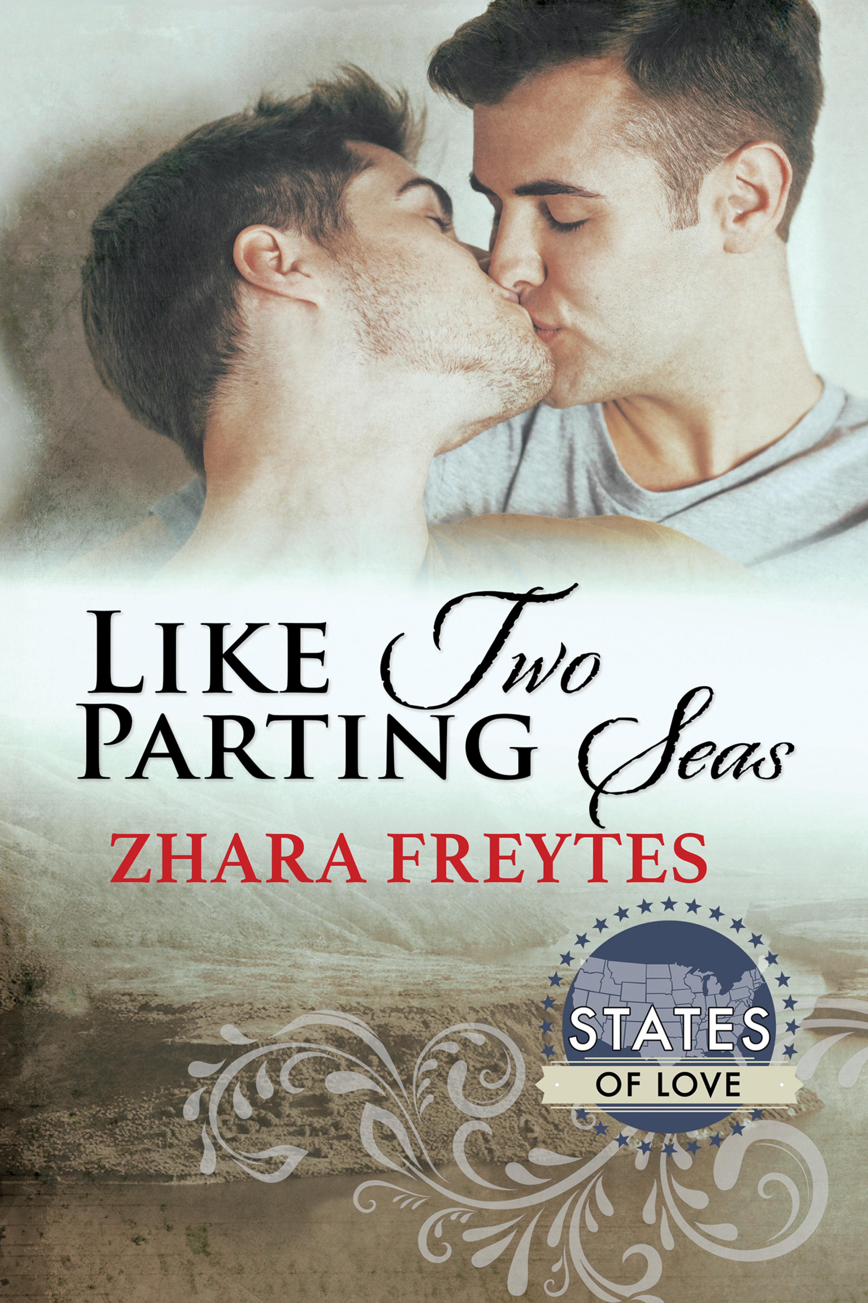 Cover image for Like Two Parting Seas
