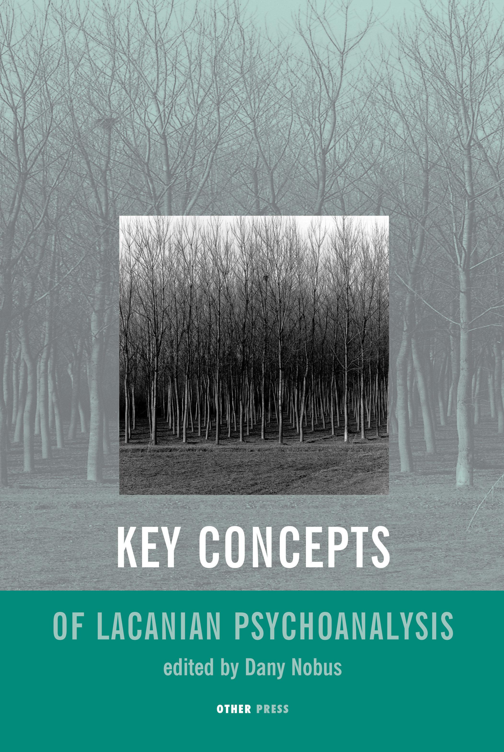 Cover image for Key Concepts of Lacanian Psychoanalysis