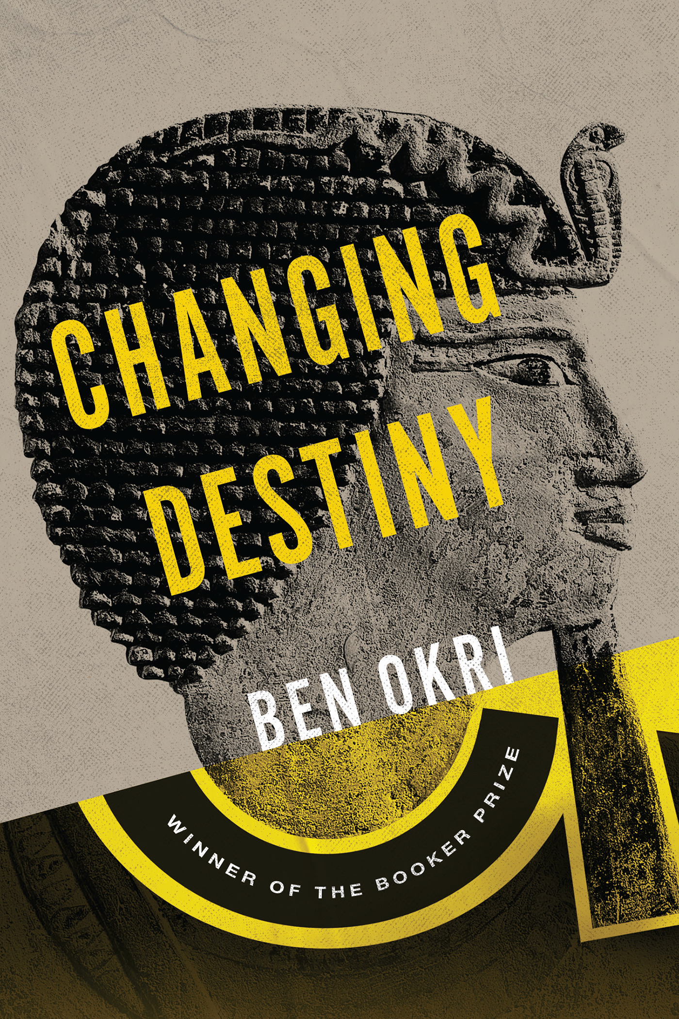 Cover image for Changing Destiny