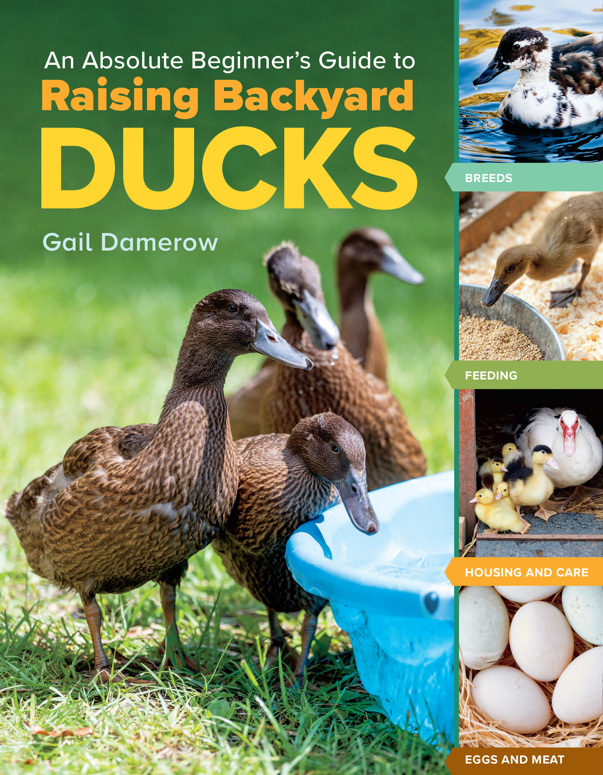 Cover image for An Absolute Beginner's Guide to Raising Backyard Ducks