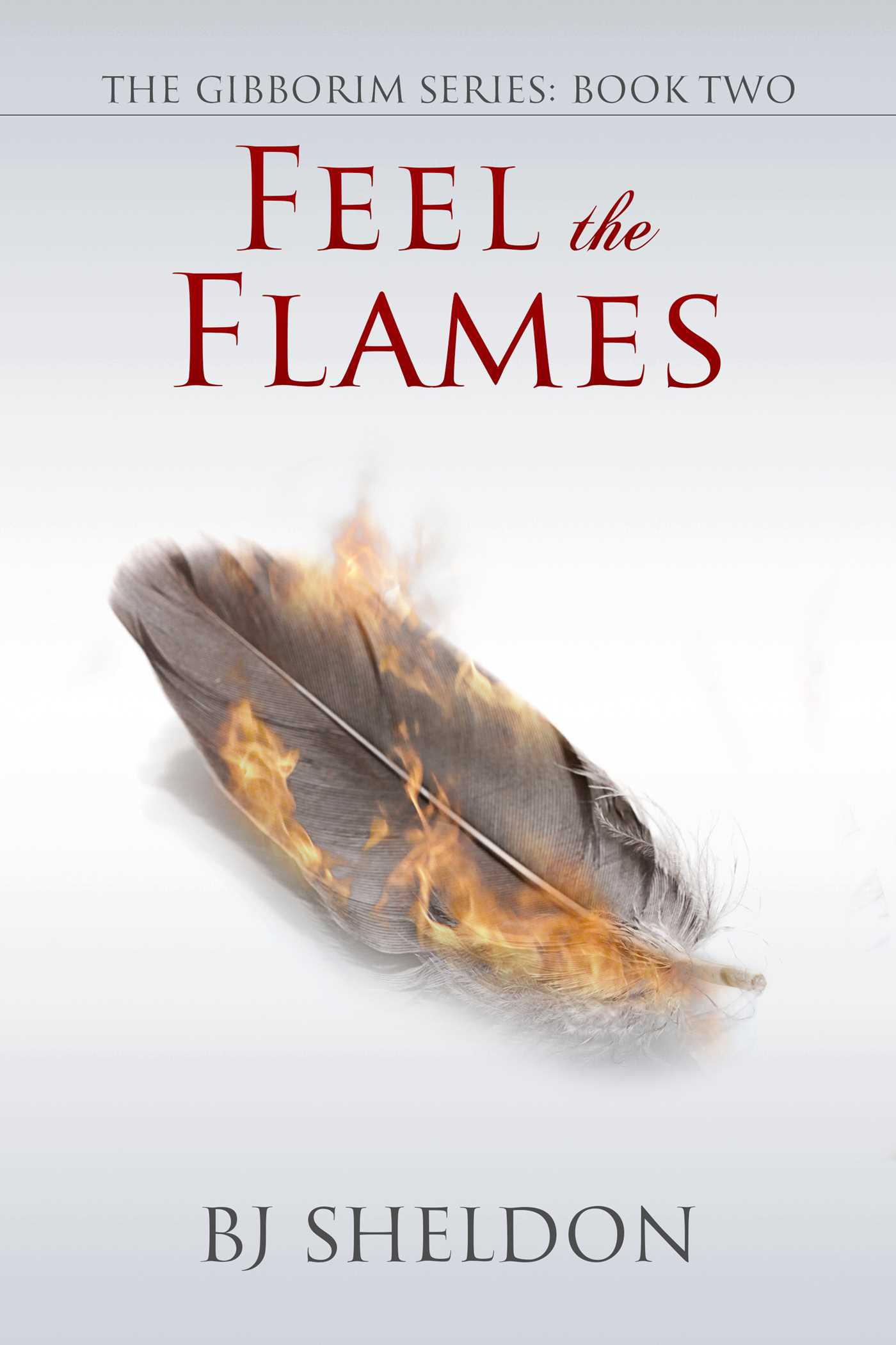 Cover image for Feel the Flames