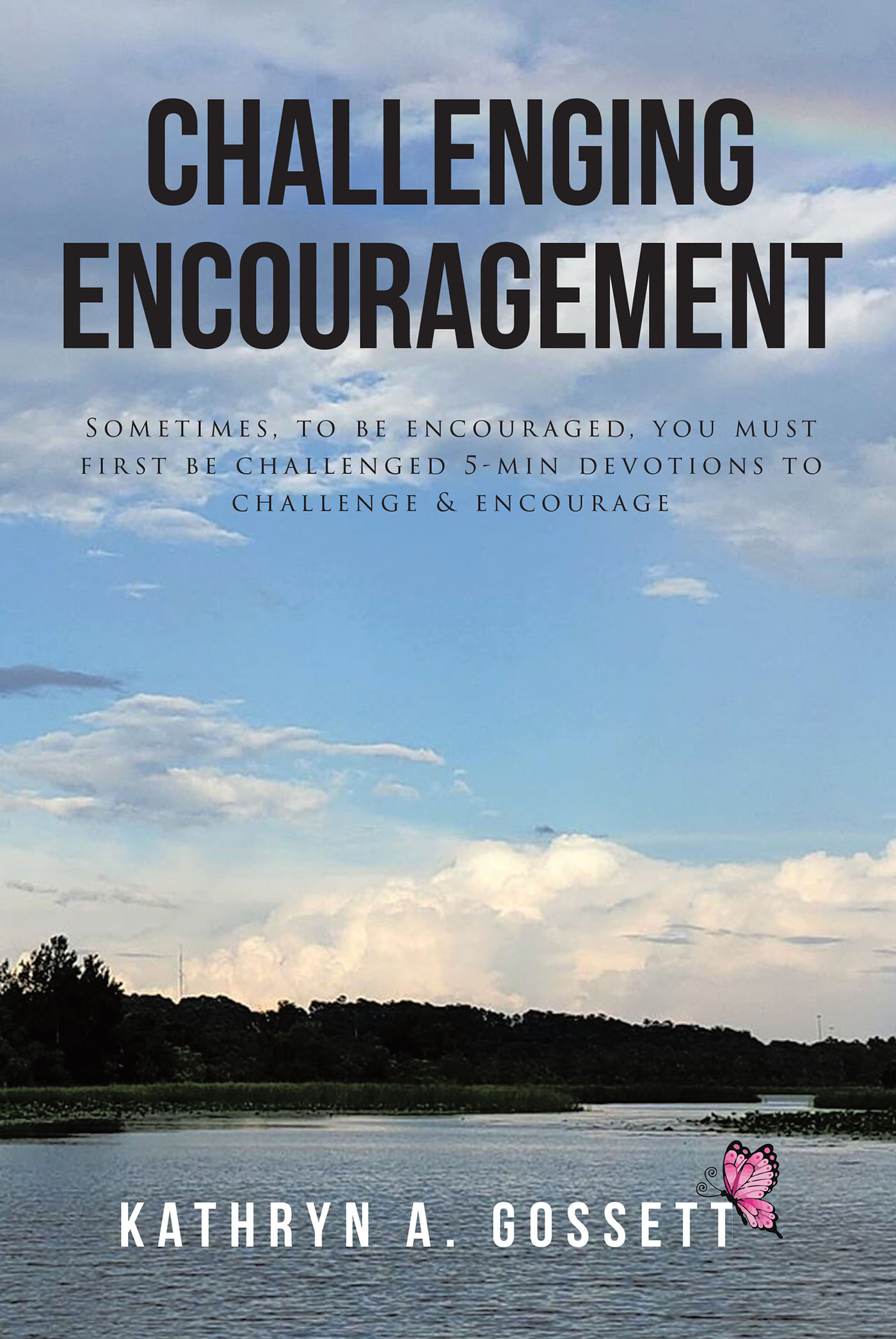 Cover image for Challenging Encouragement