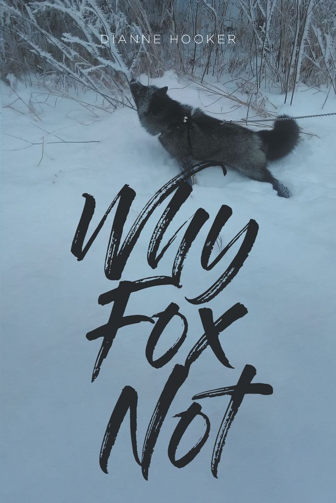 Cover image for Why Fox Not