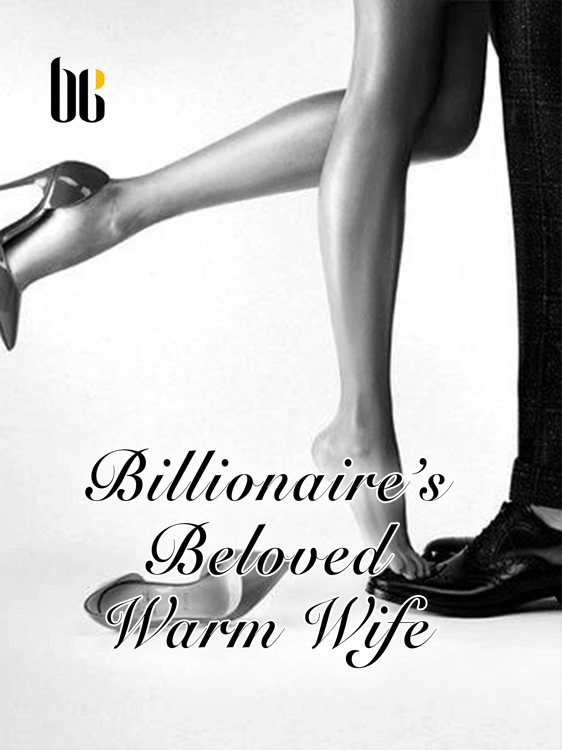 Cover image for Billionaires Beloved Warm Wife
