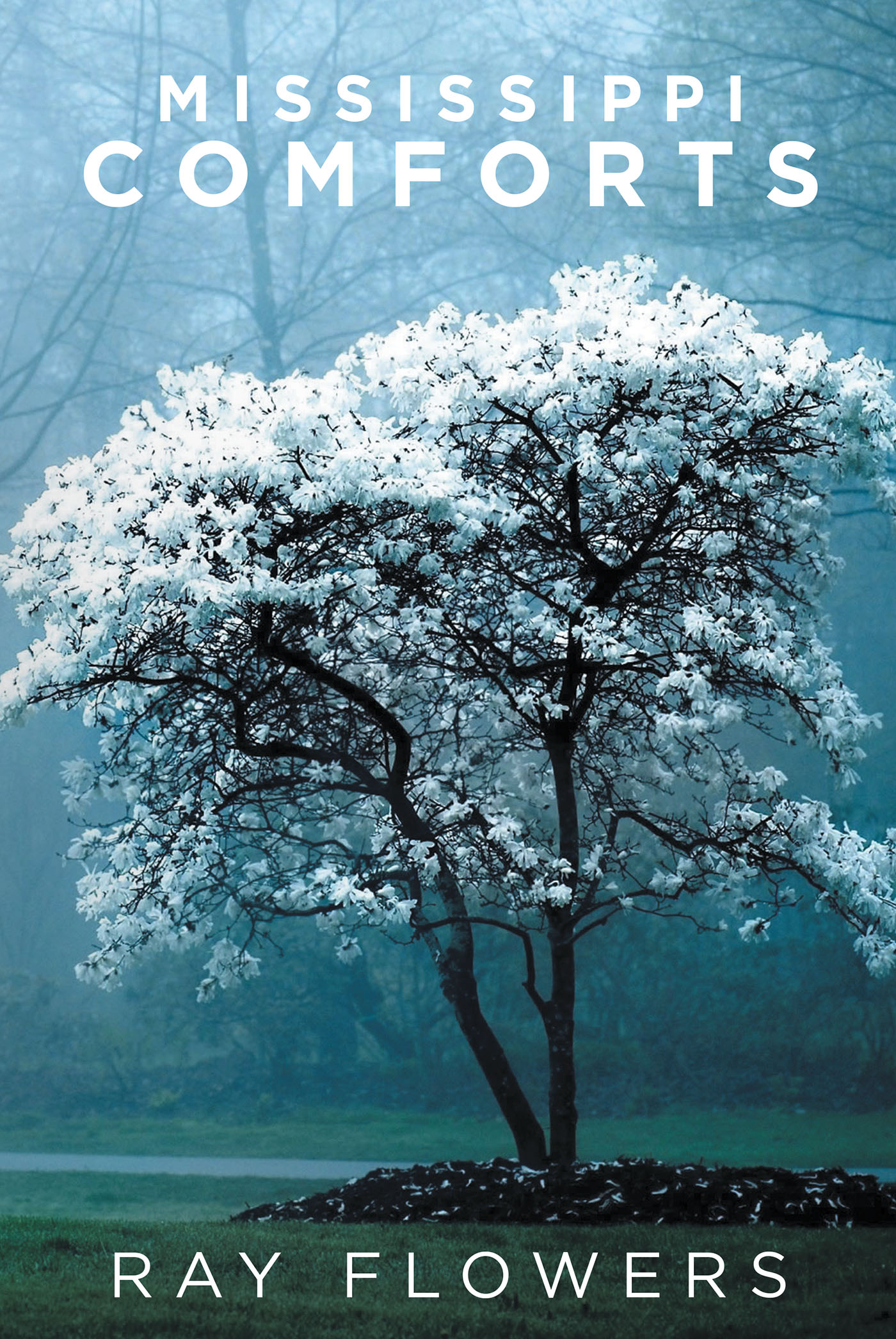 Cover image for Mississippi Comforts