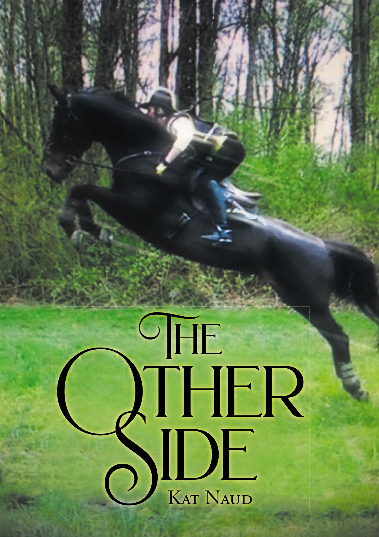Cover image for The Other Side