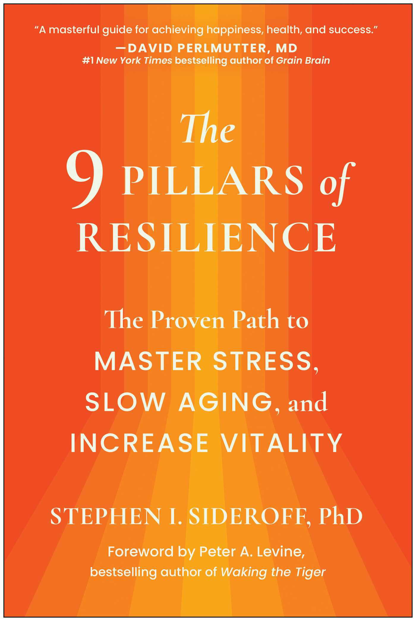 Cover image for The 9 Pillars of Resilience