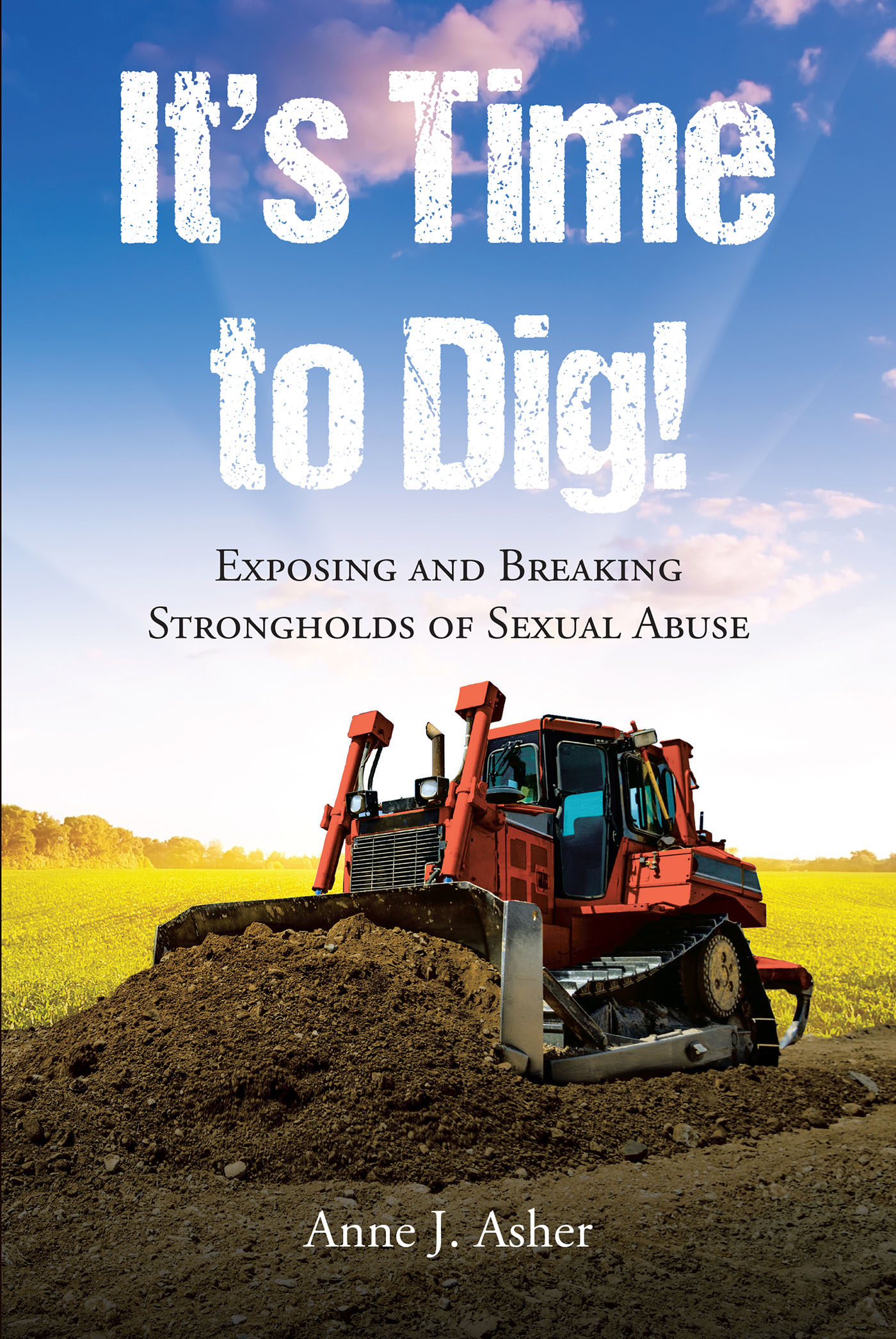 Cover image for It's Time to Dig!