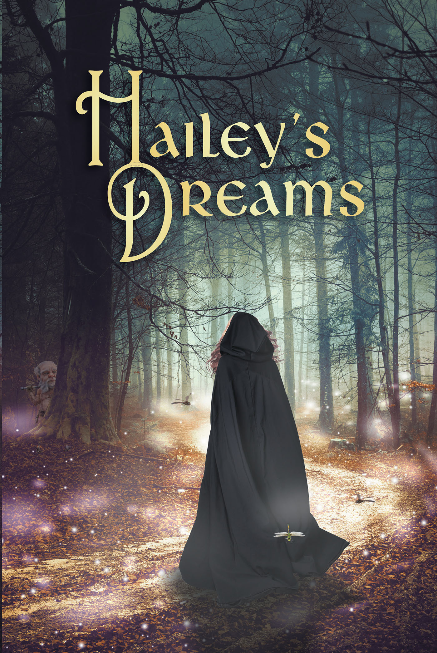 Cover image for Hailey's Dreams