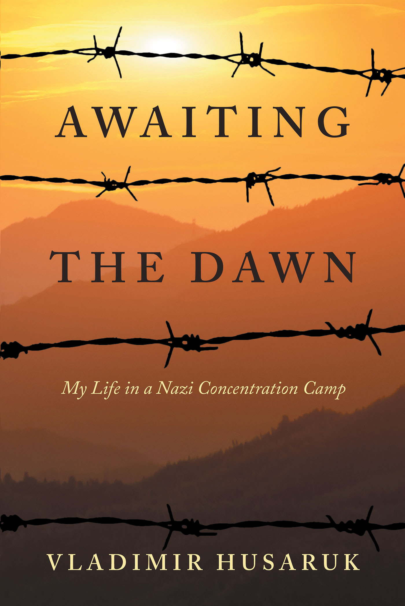 Cover image for Awaiting The Dawn