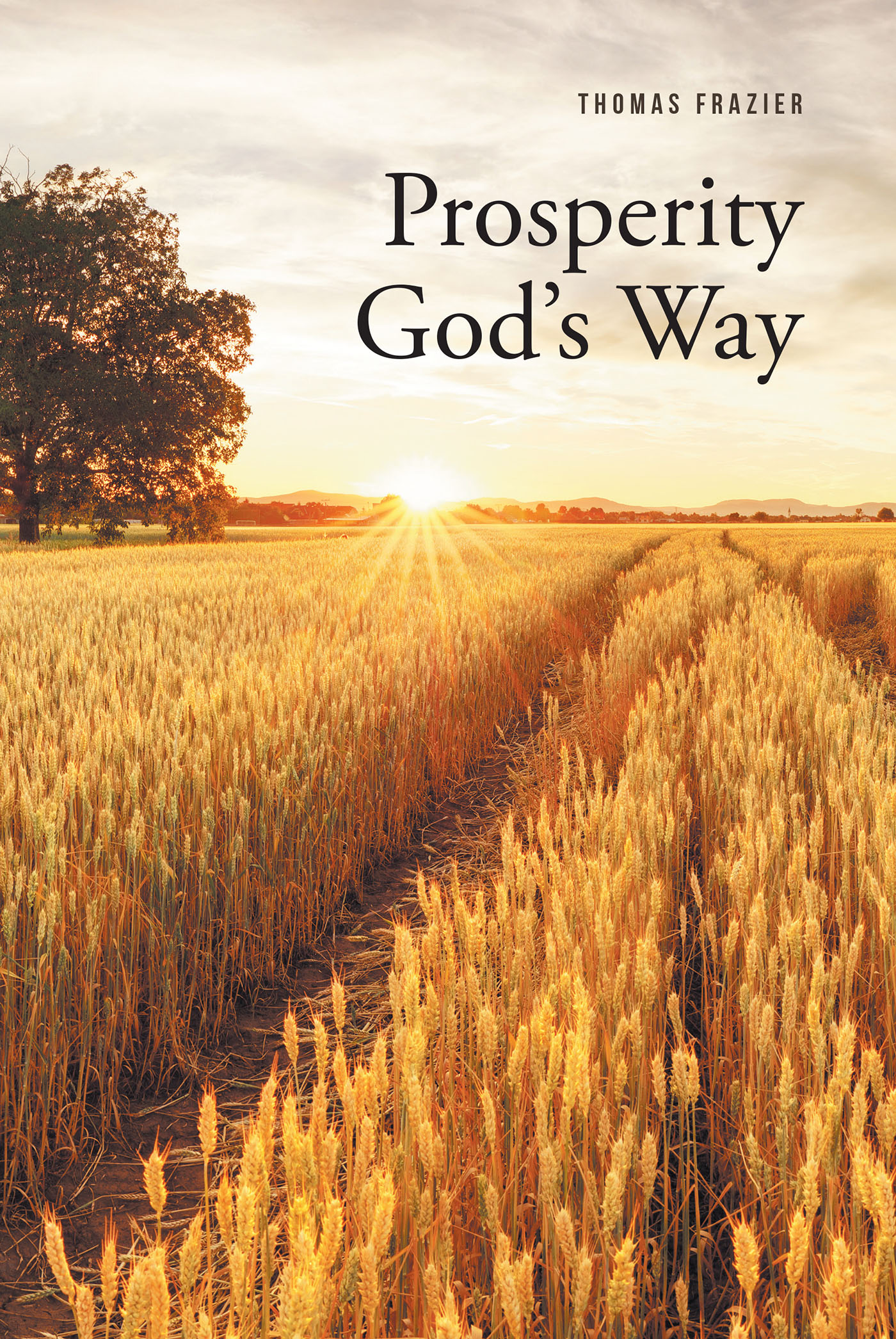 Cover image for Prosperity God's Way