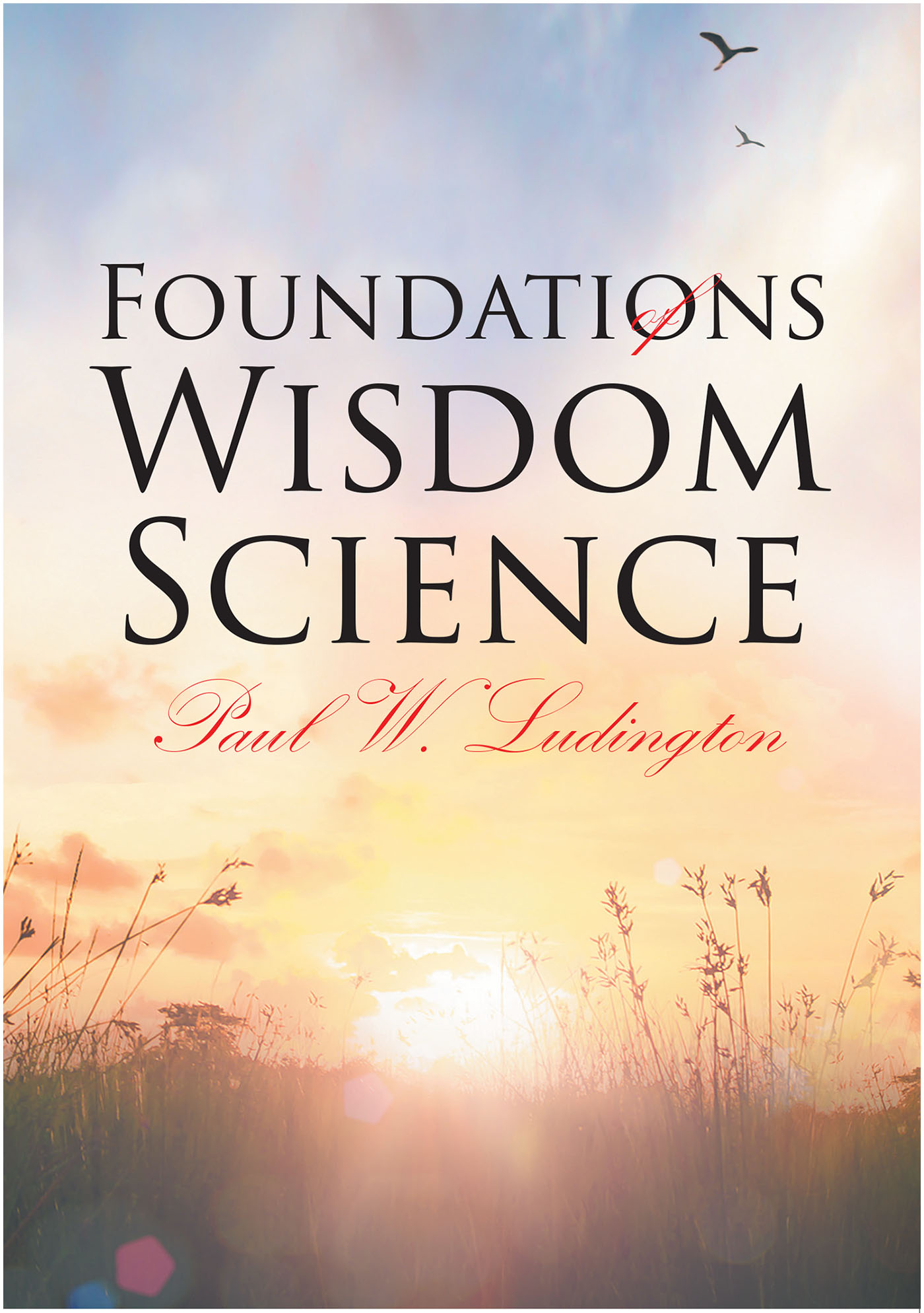 Cover image for Foundations of Wisdom Science