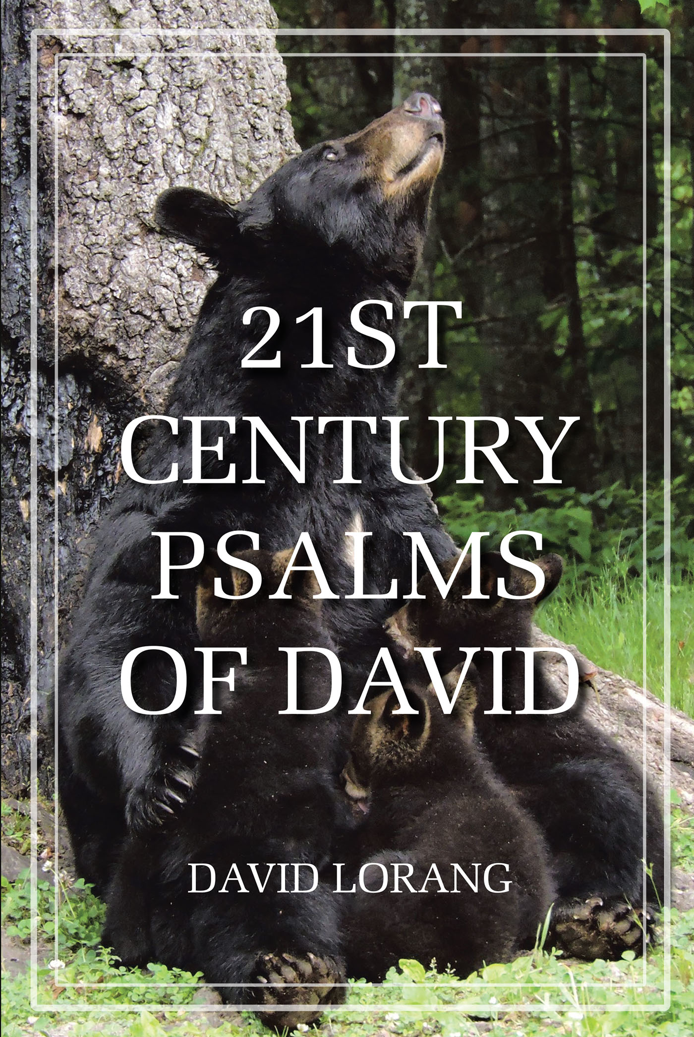 Cover image for 21st Century Psalms of David
