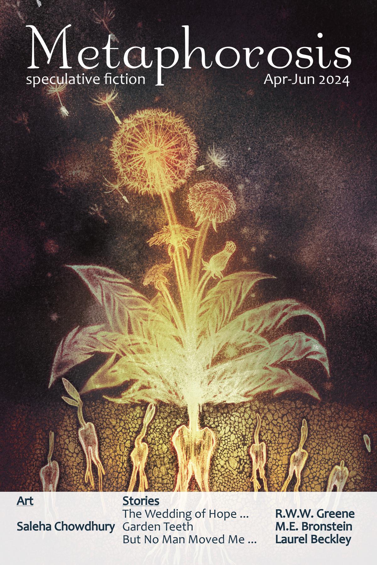 Cover image for Metaphorosis Apr-Jun 2024