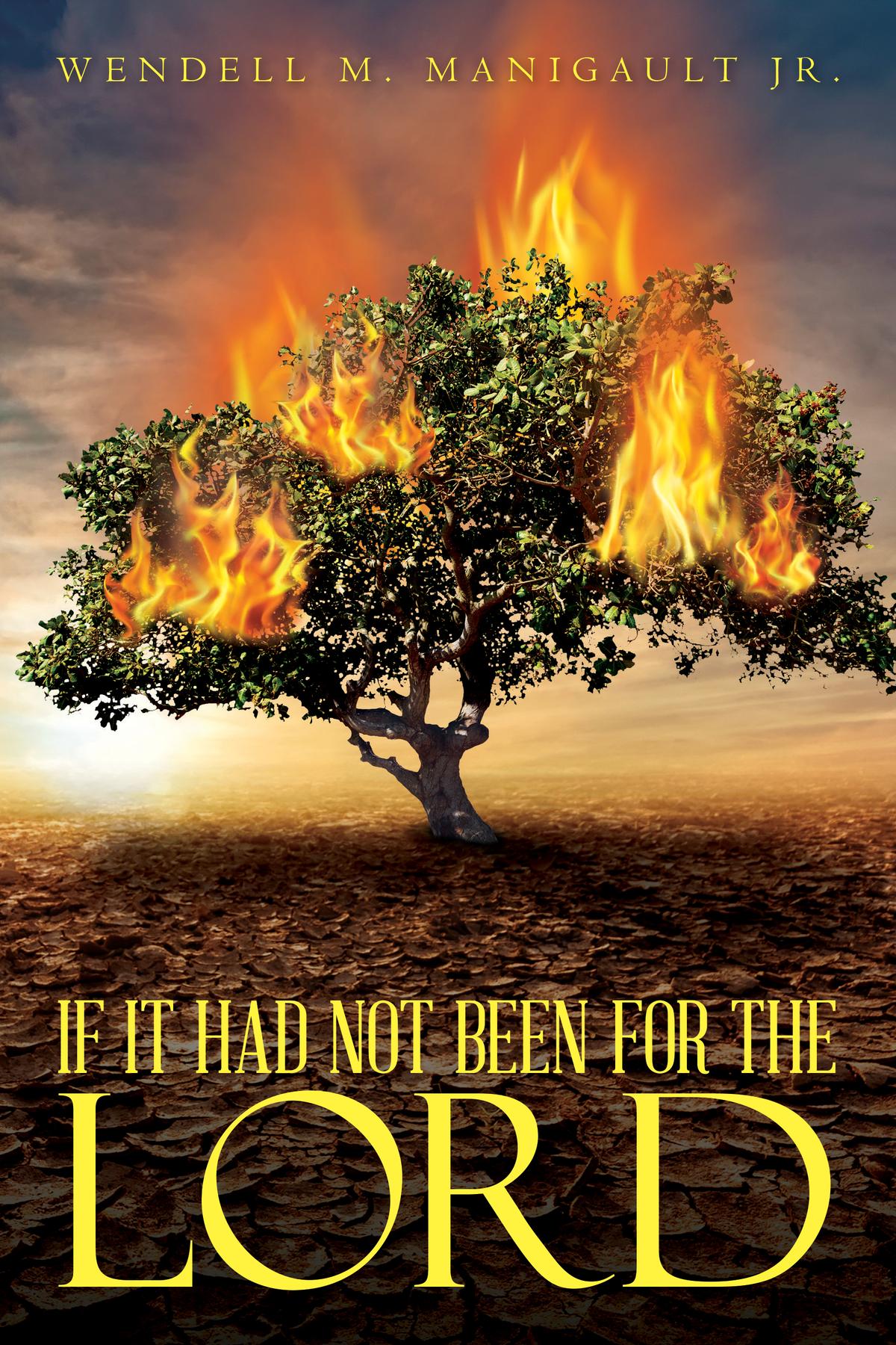 Cover image for If It Had Not Been for the Lord