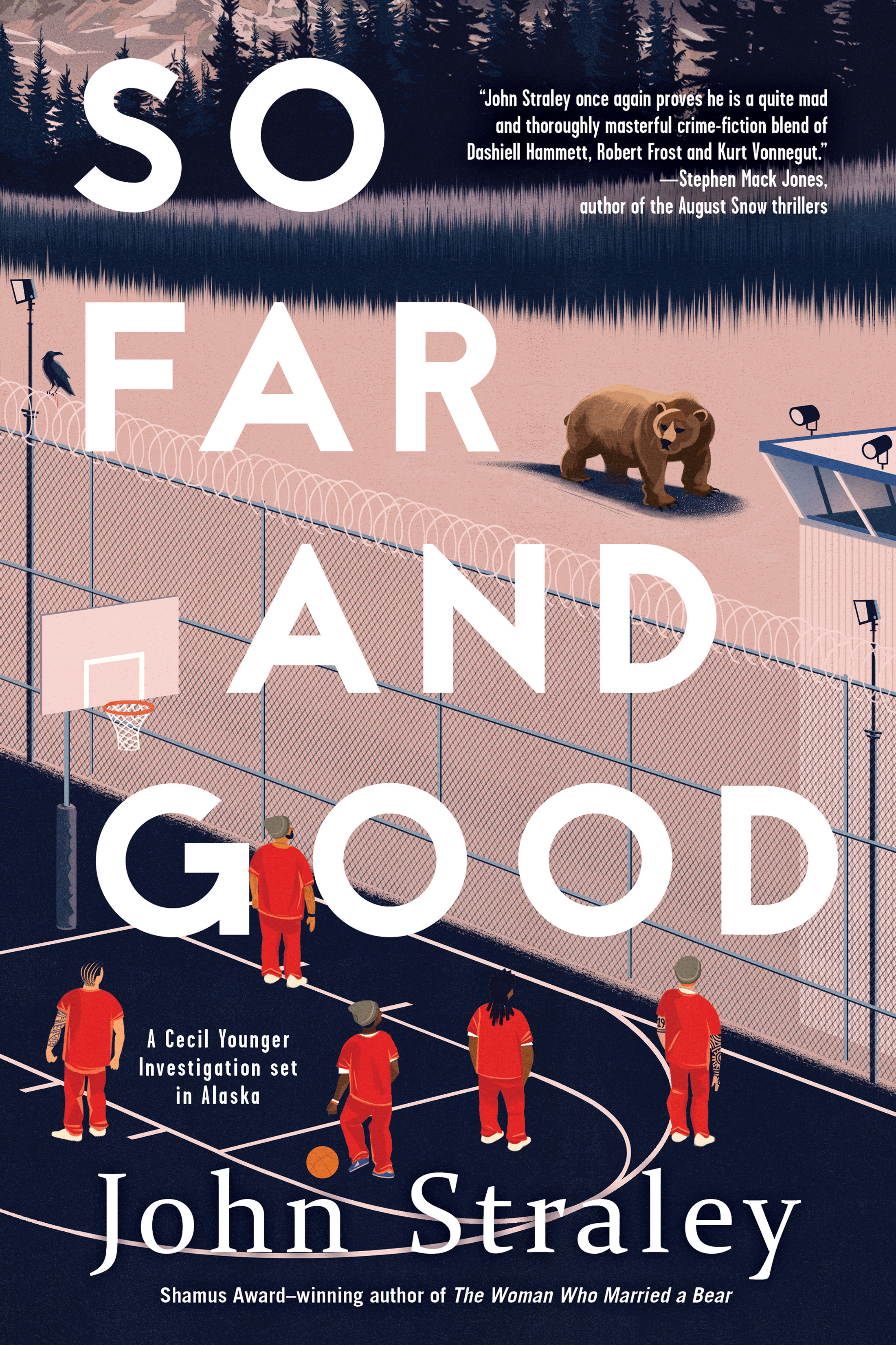 Cover image for So Far and Good