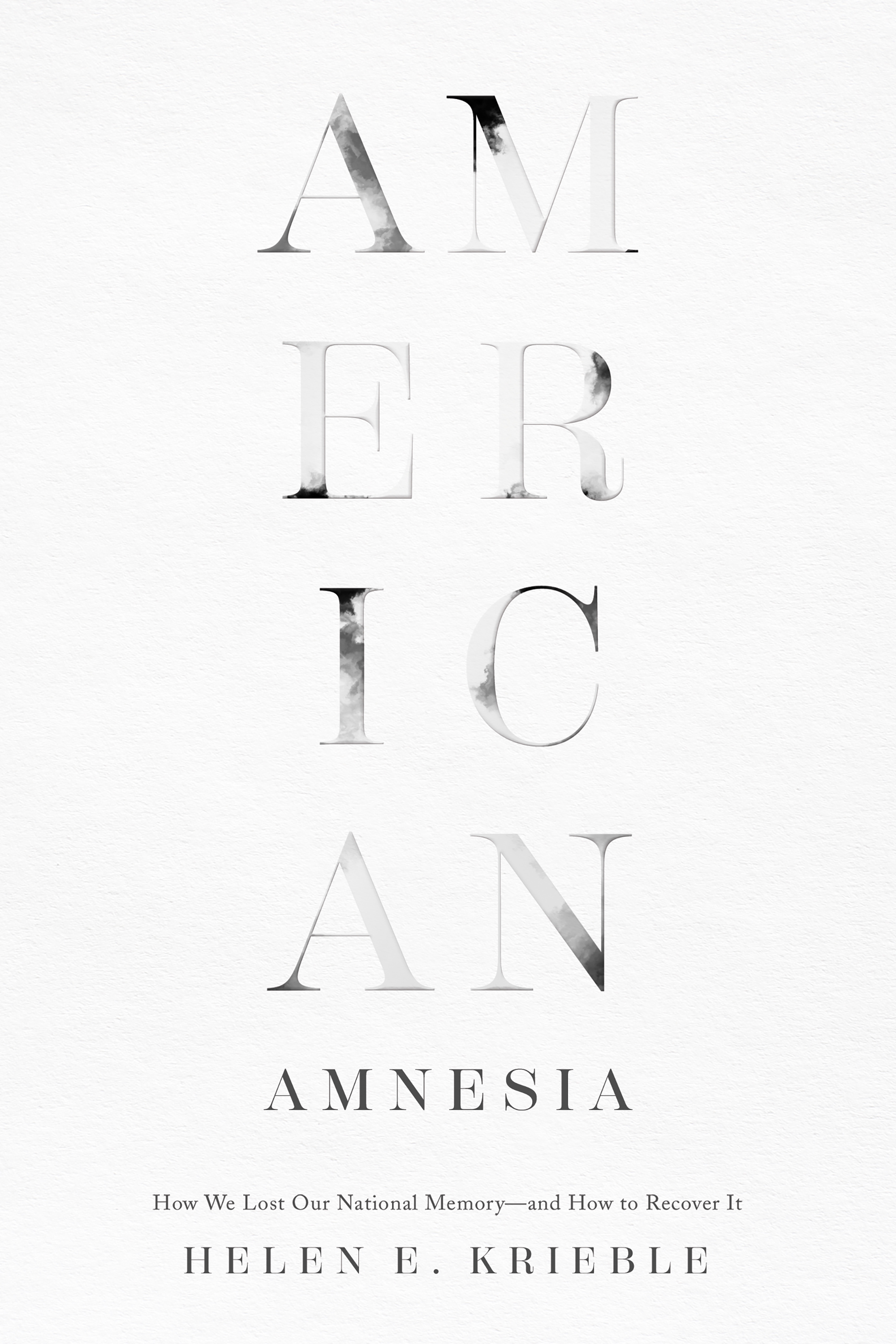 Cover image for American Amnesia