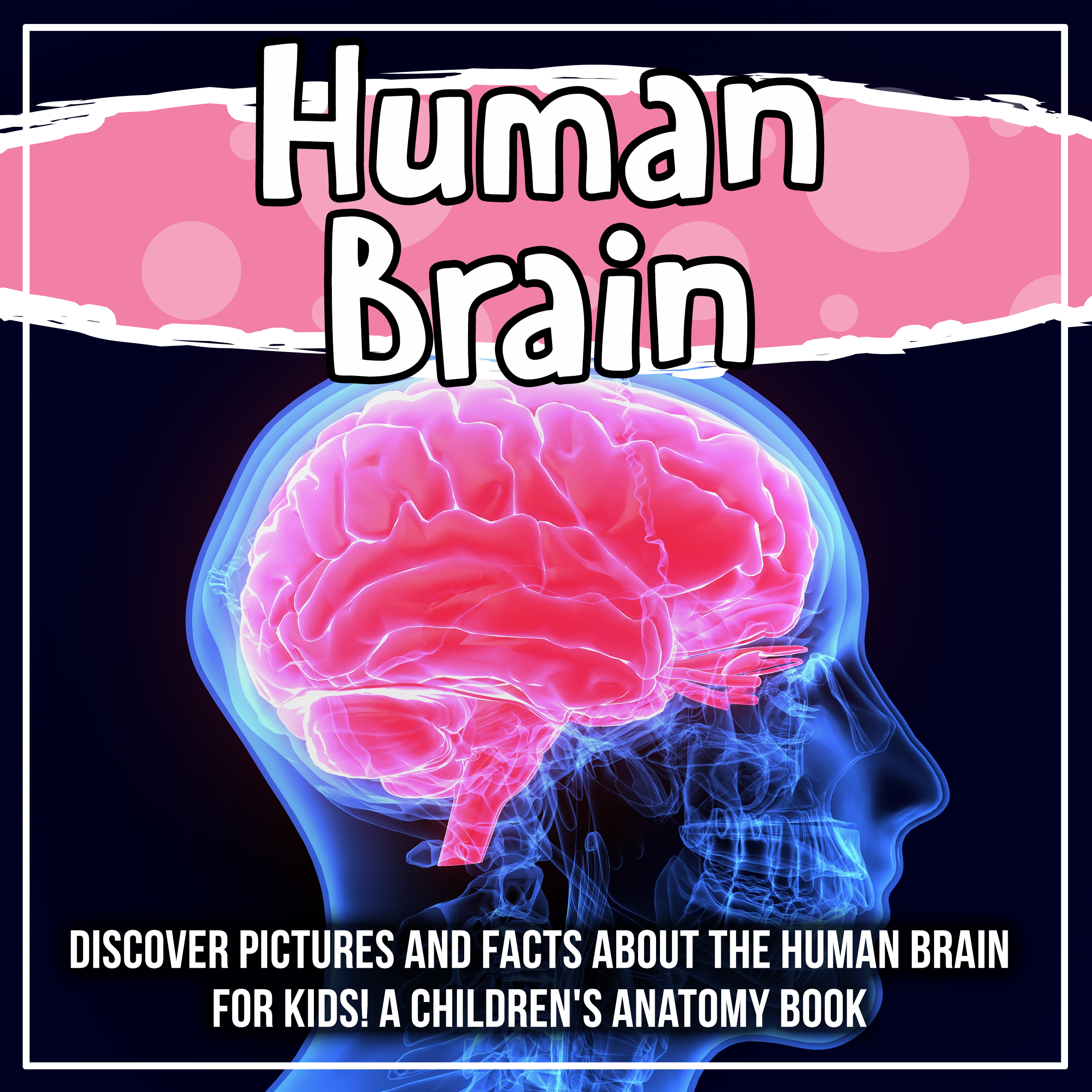 the human brain for kids