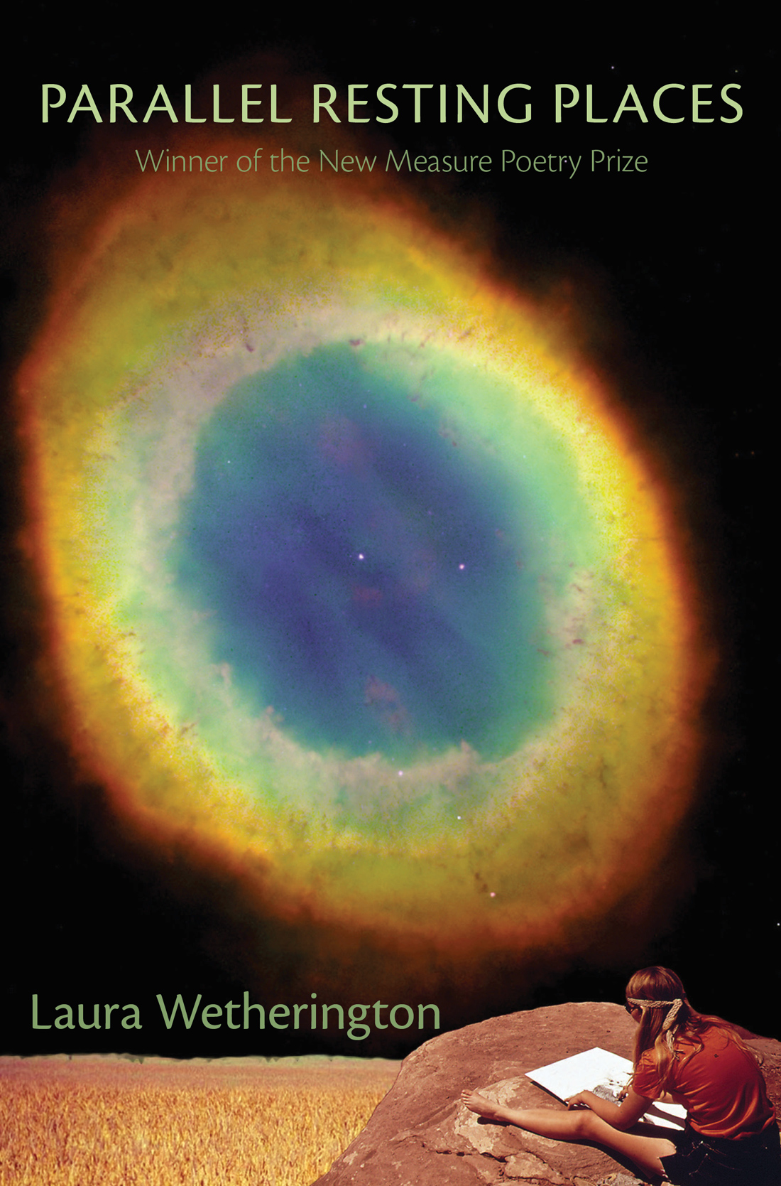 Cover image for Parallel Resting Places