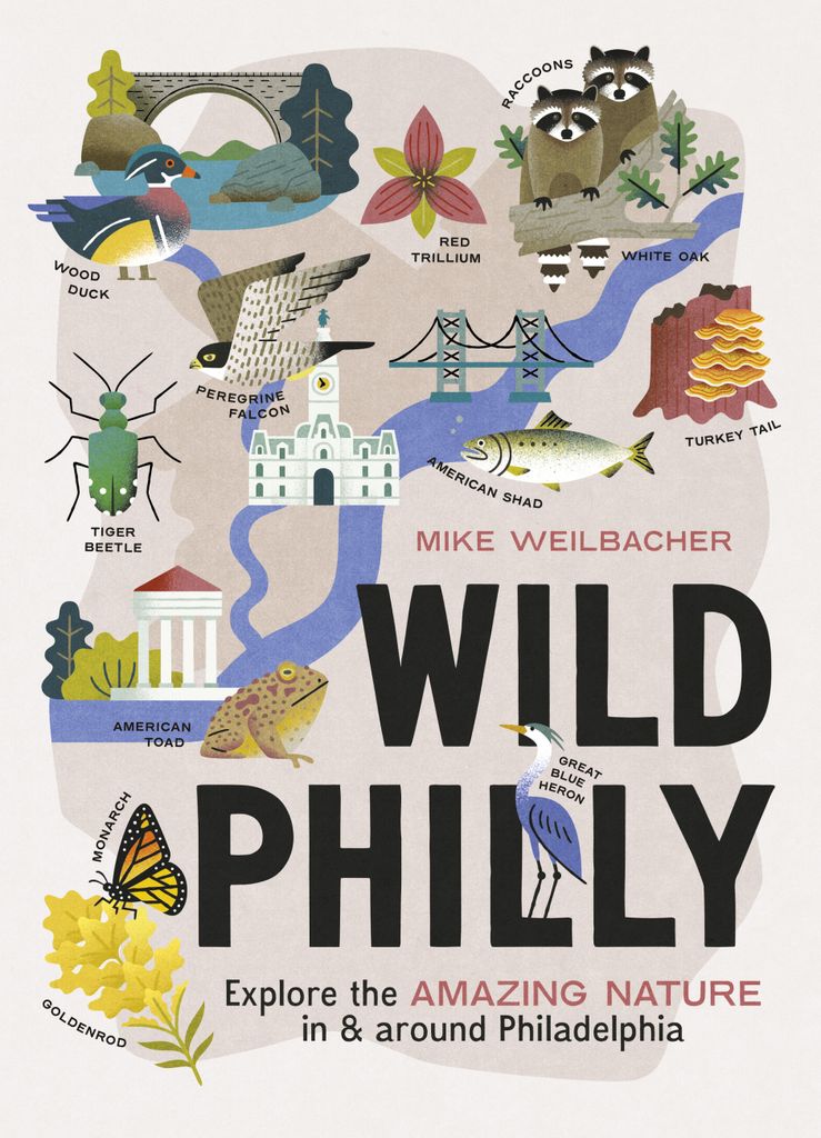 Cover image for Wild Philly