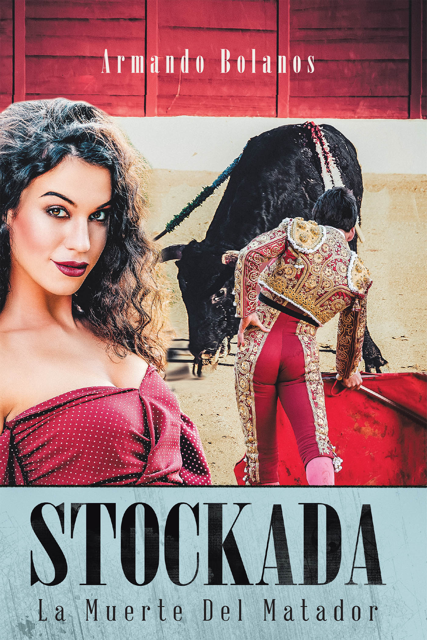 Cover image for Stockada