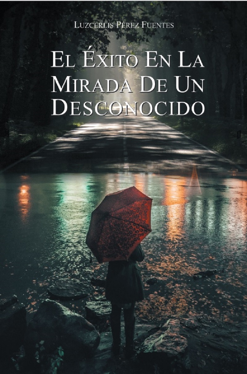 Cover image for El Exito En La Mirada De Un Desconocido