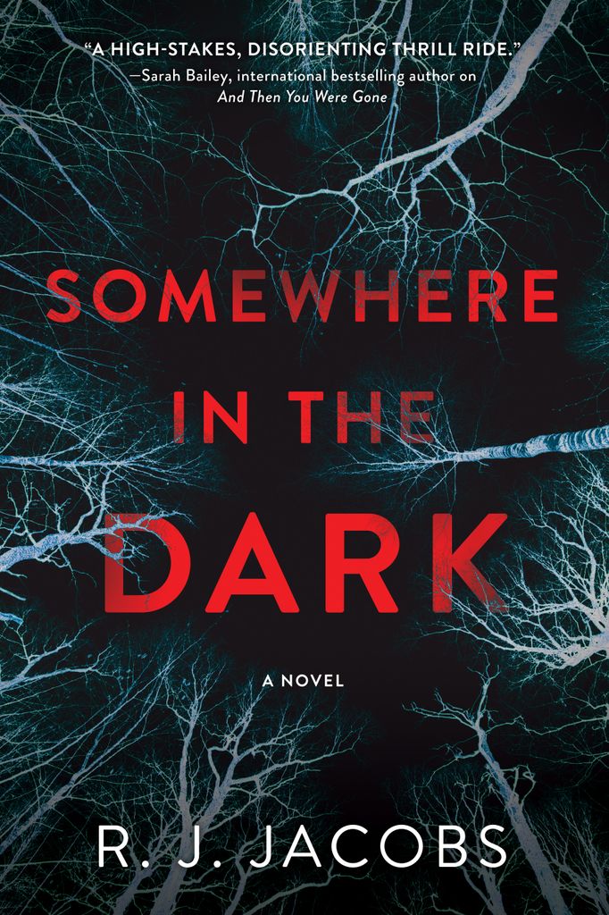 Cover image for Somewhere in the Dark