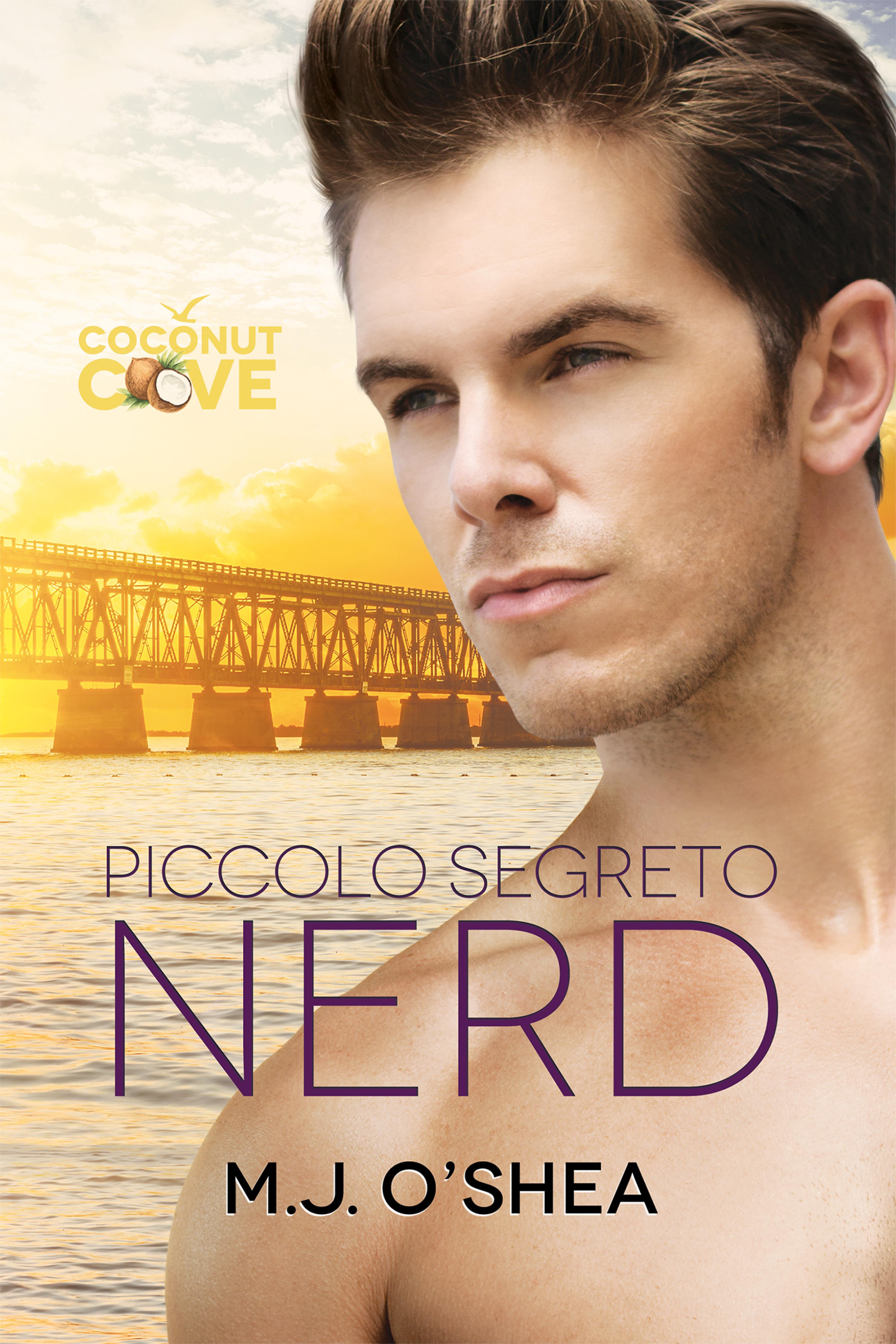 Cover image for Piccolo segreto nerd