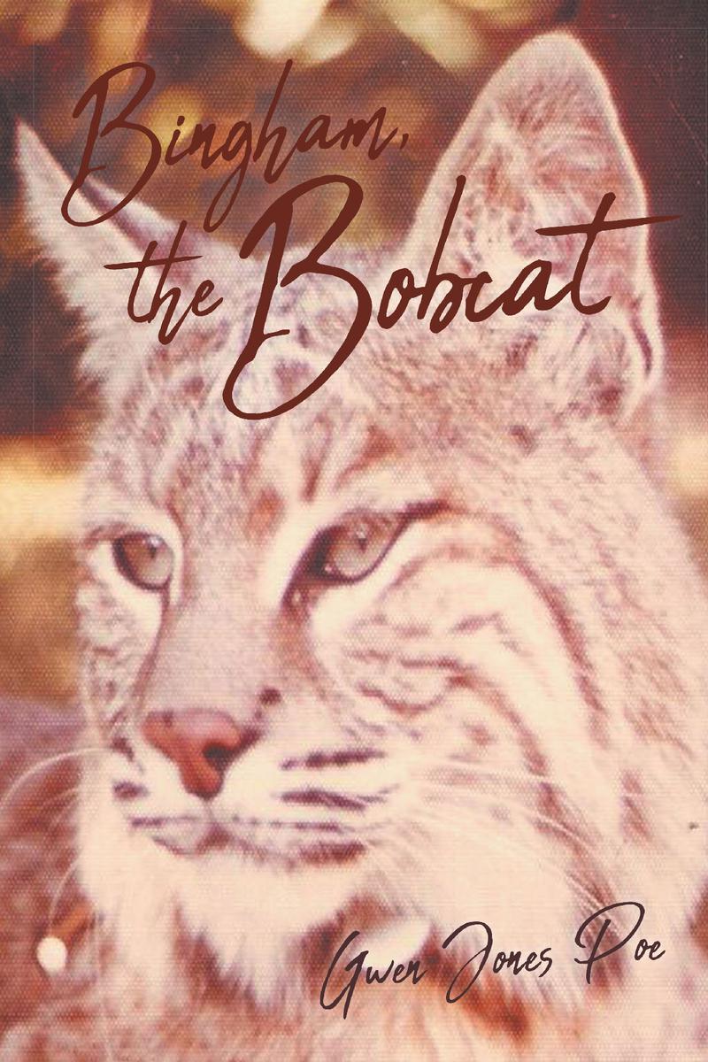 Cover image for Bingham the Bobcat
