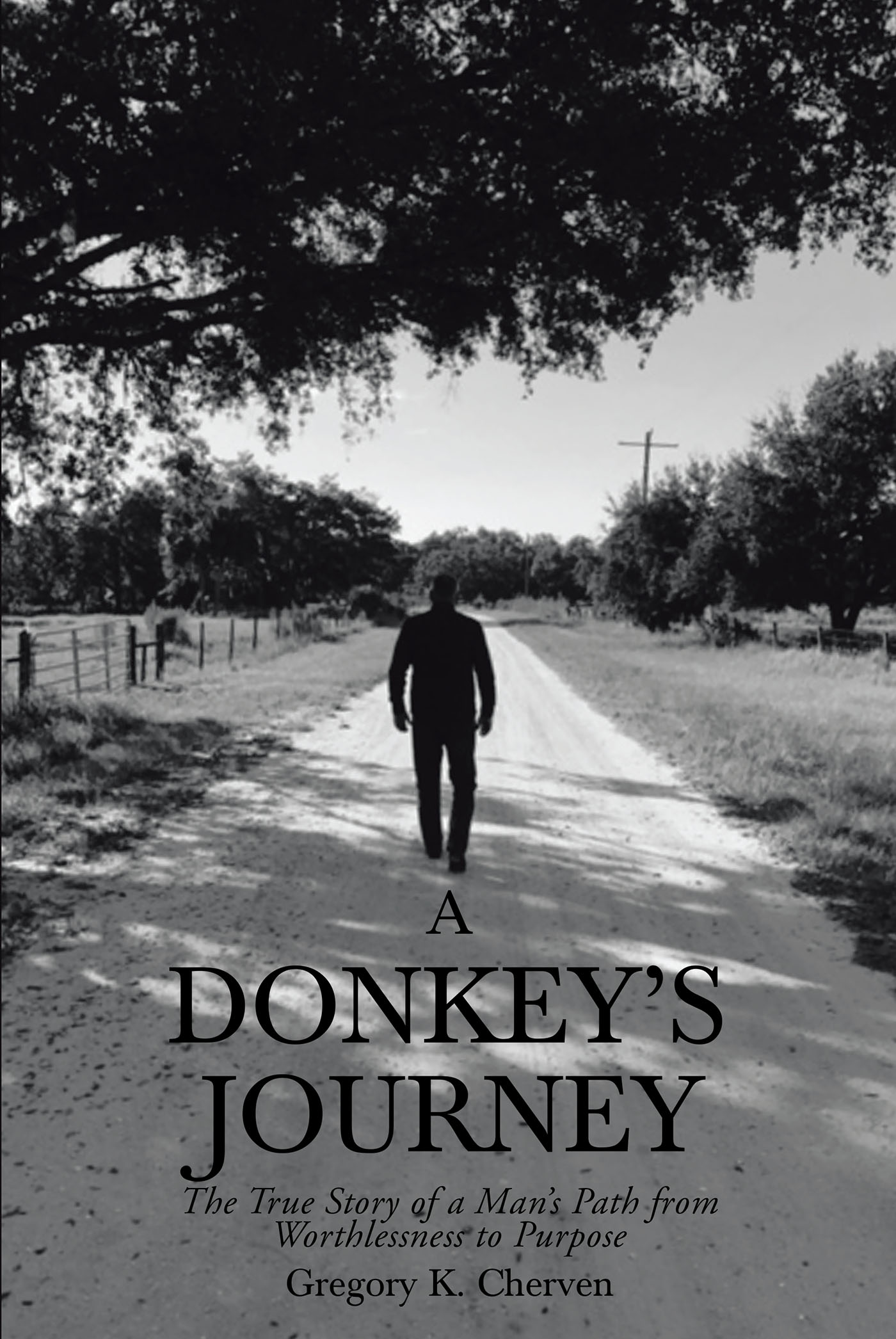 Cover image for A Donkey's Journey