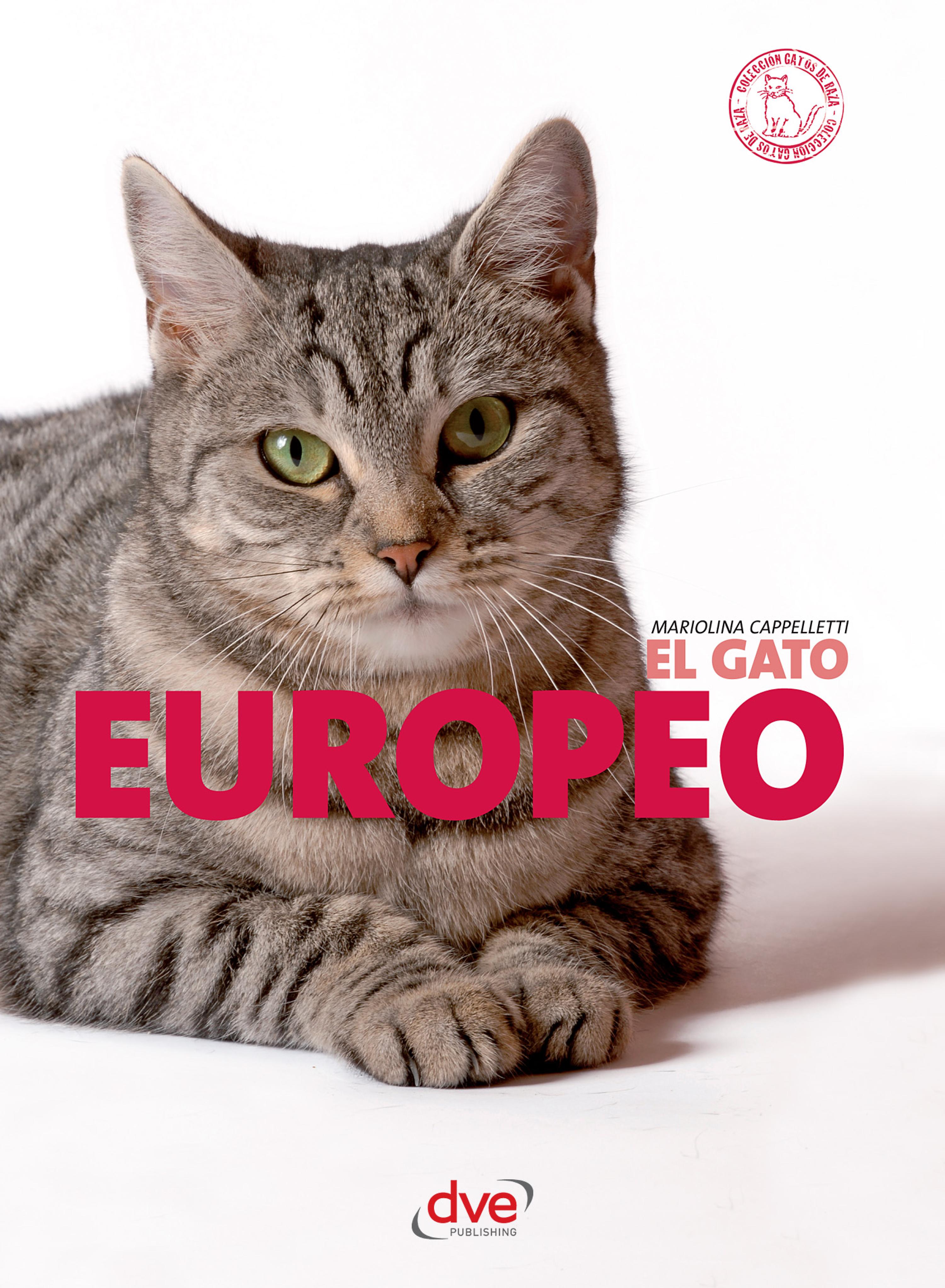 Cover image for El gato Europeo