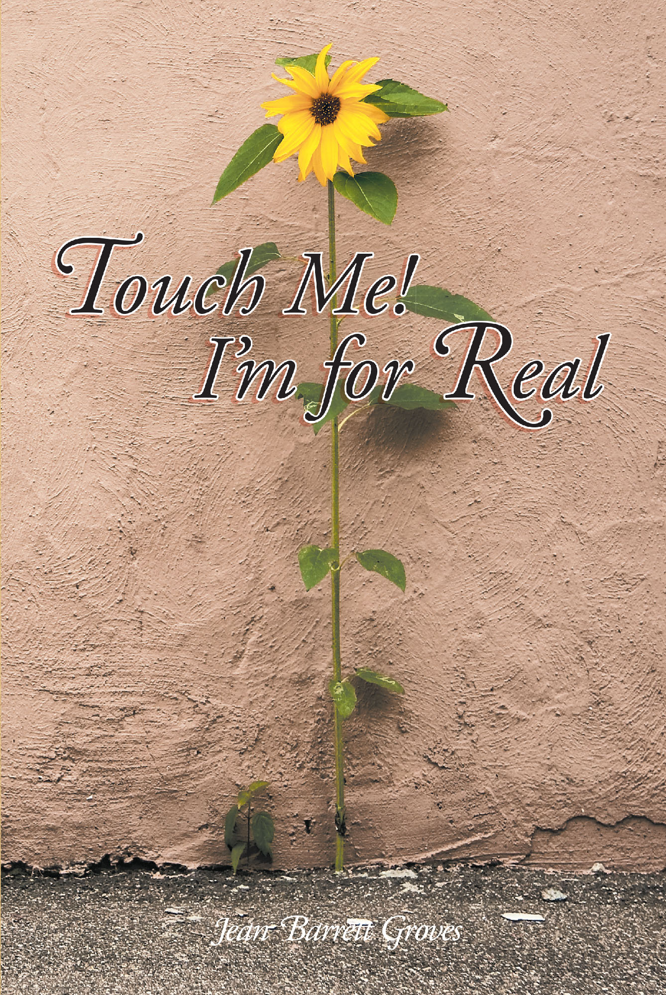 Cover image for Touch Me! I'm for Real