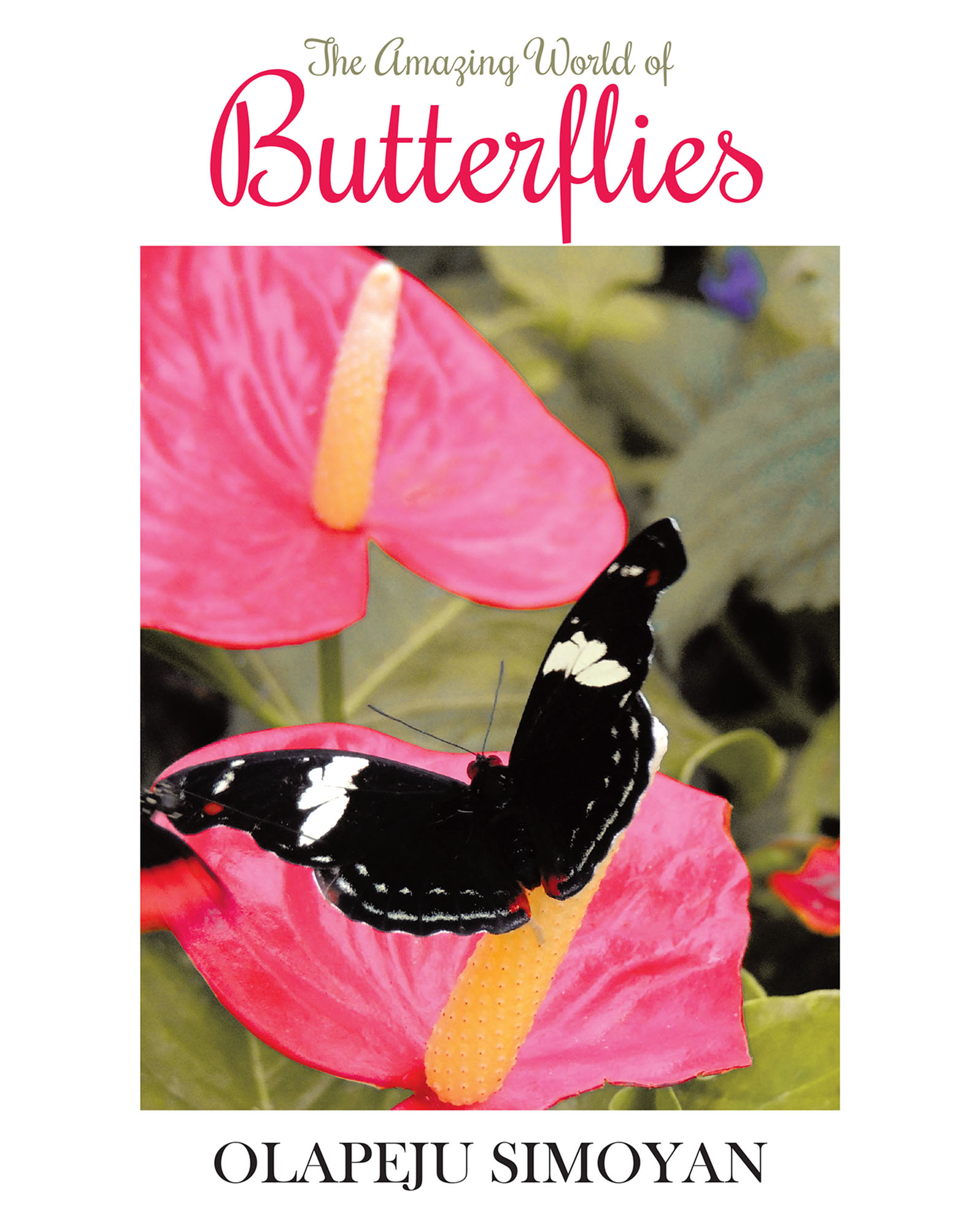 Cover image for The Amazing World of Butterflies