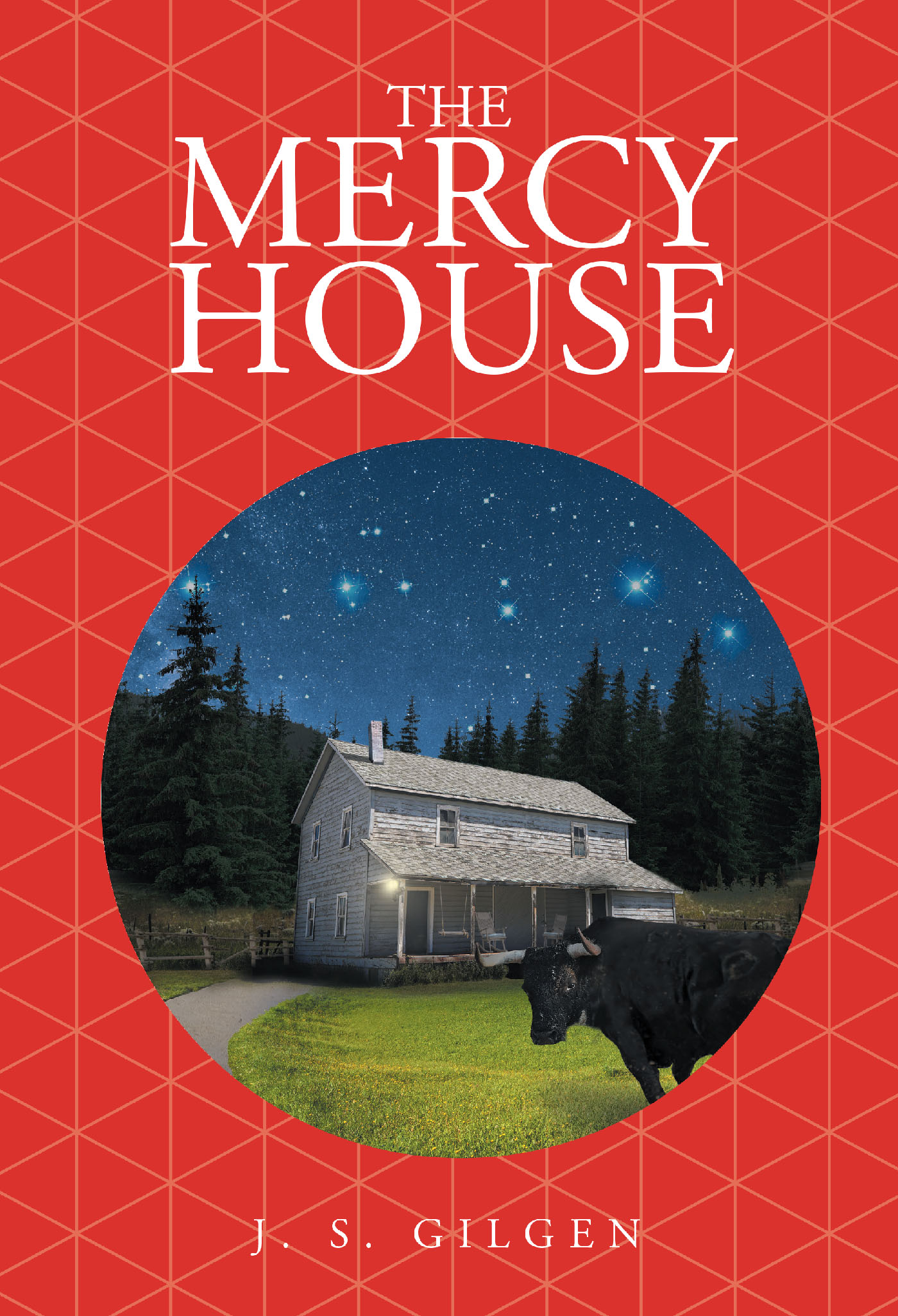 Cover image for The Mercy House
