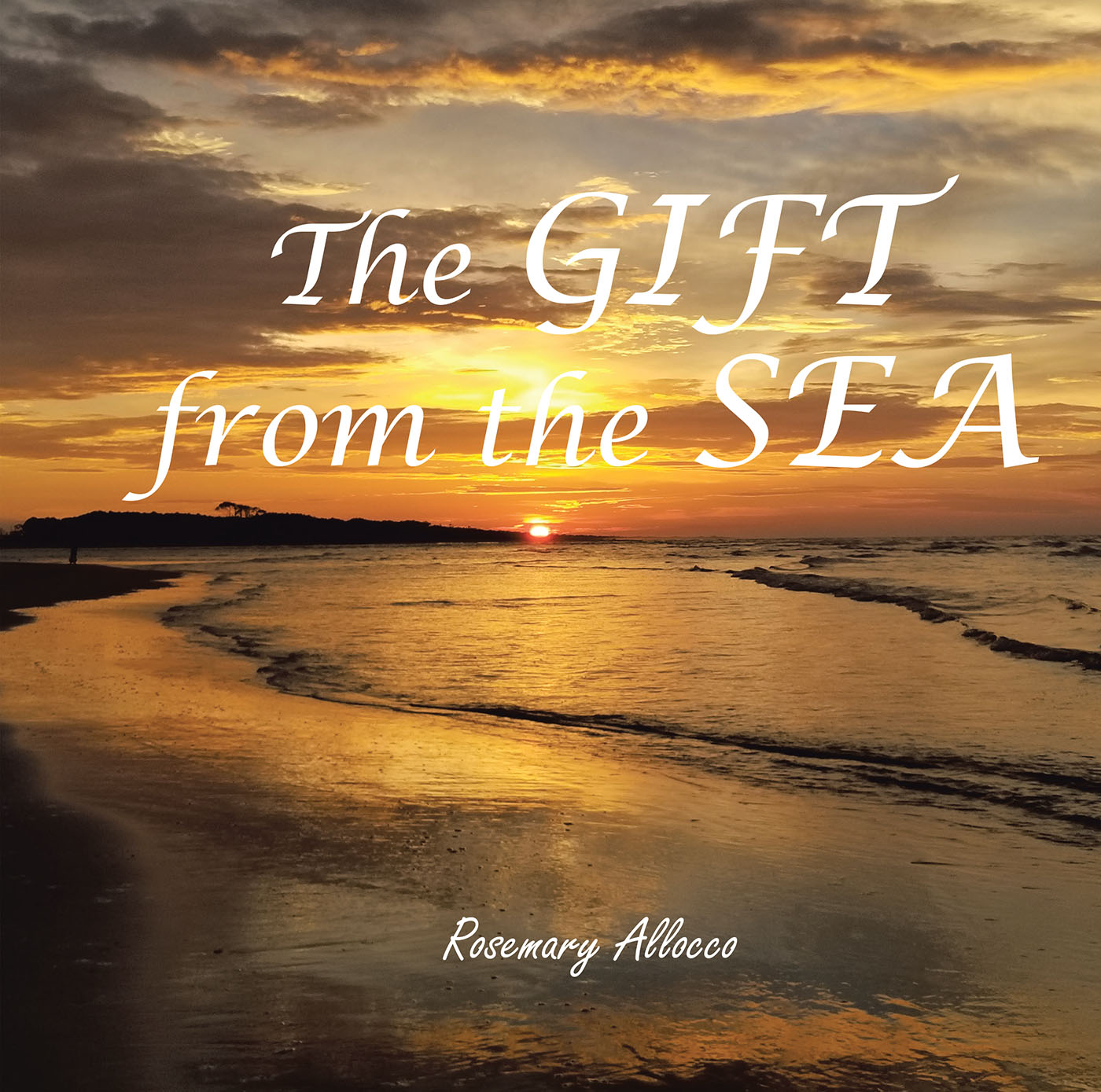 Cover image for The GIFT from the Sea