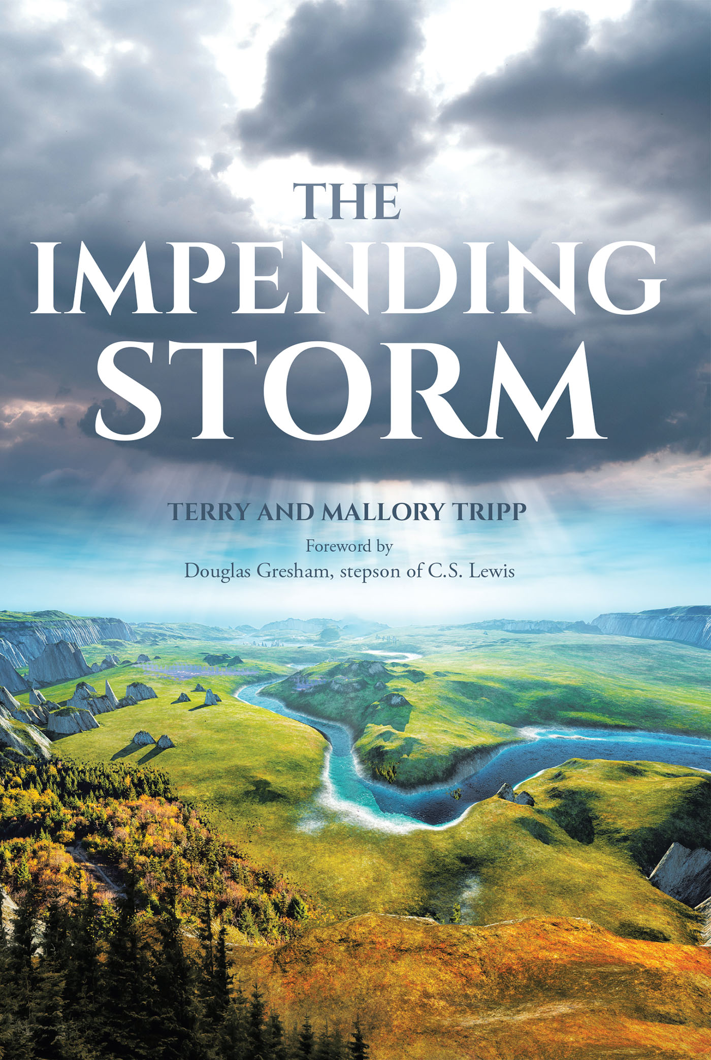 Cover image for The Impending Storm