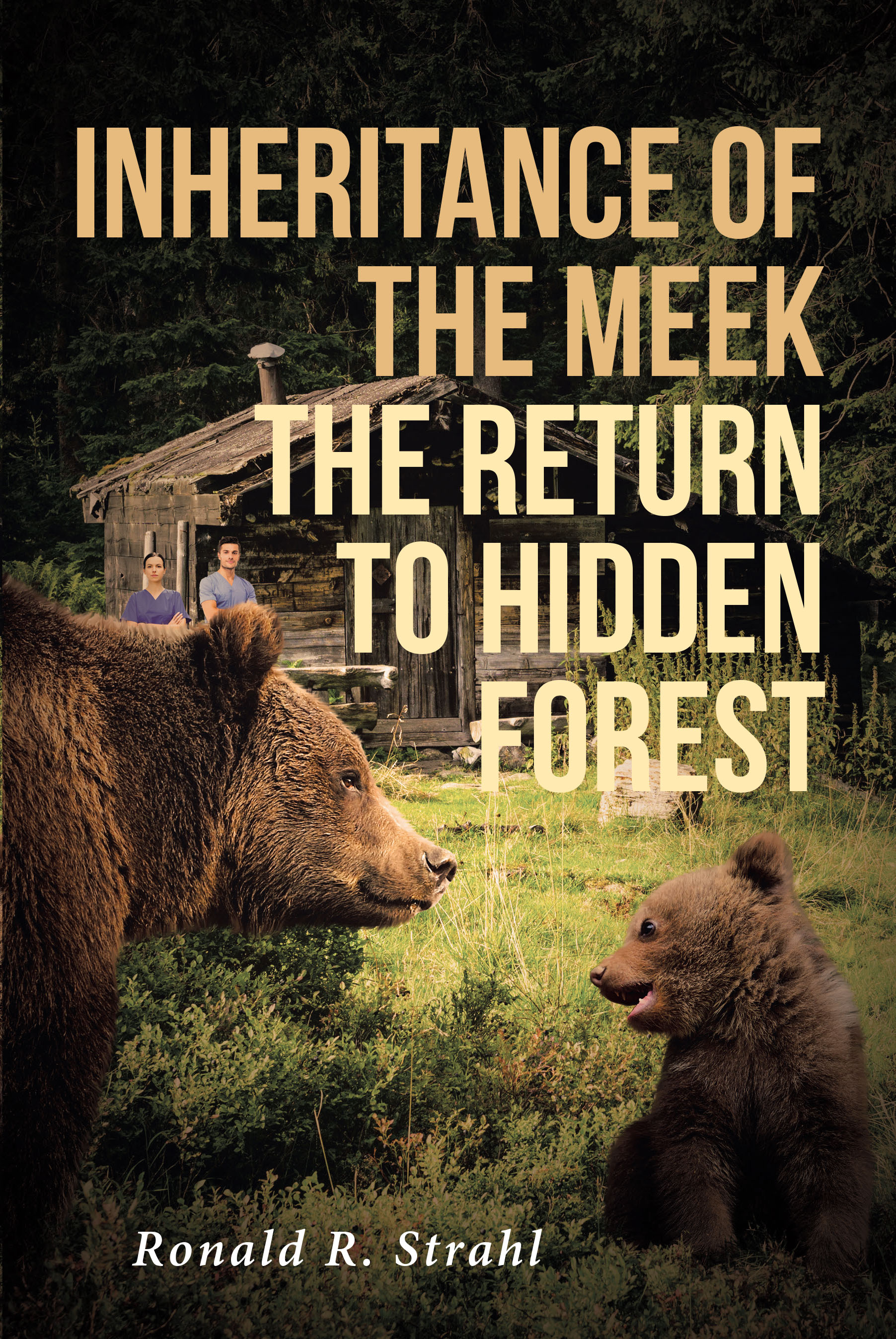 Cover image for Inheritance of the Meek