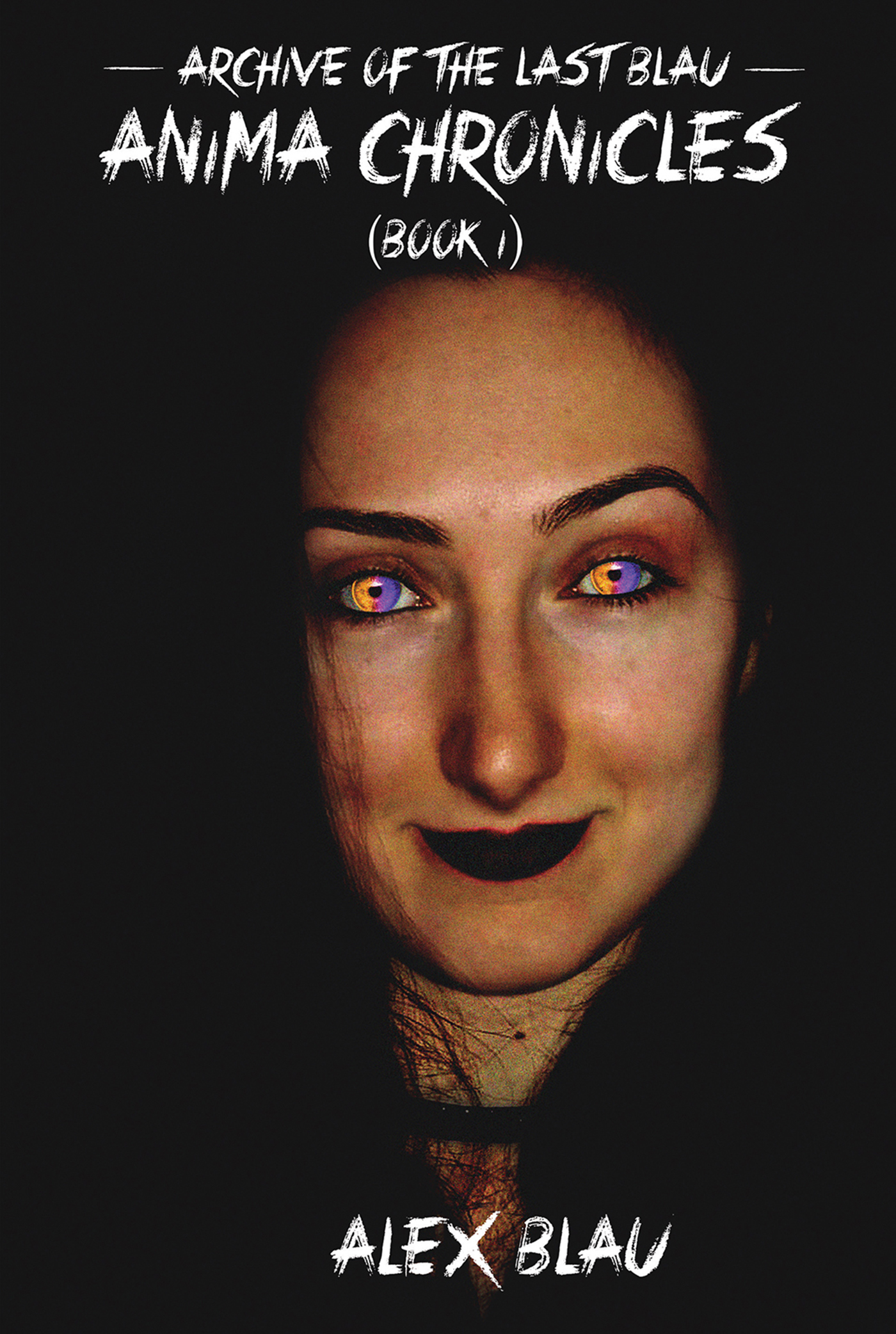 Cover image for Anima Chronicles