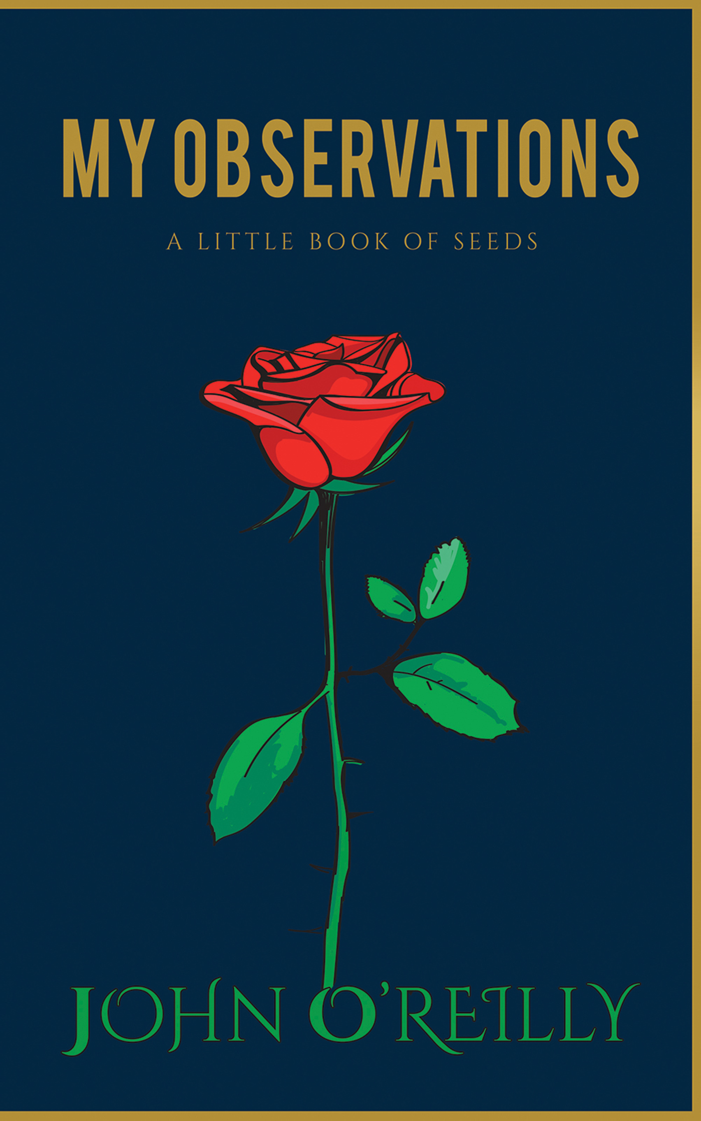 Cover image for My Observations