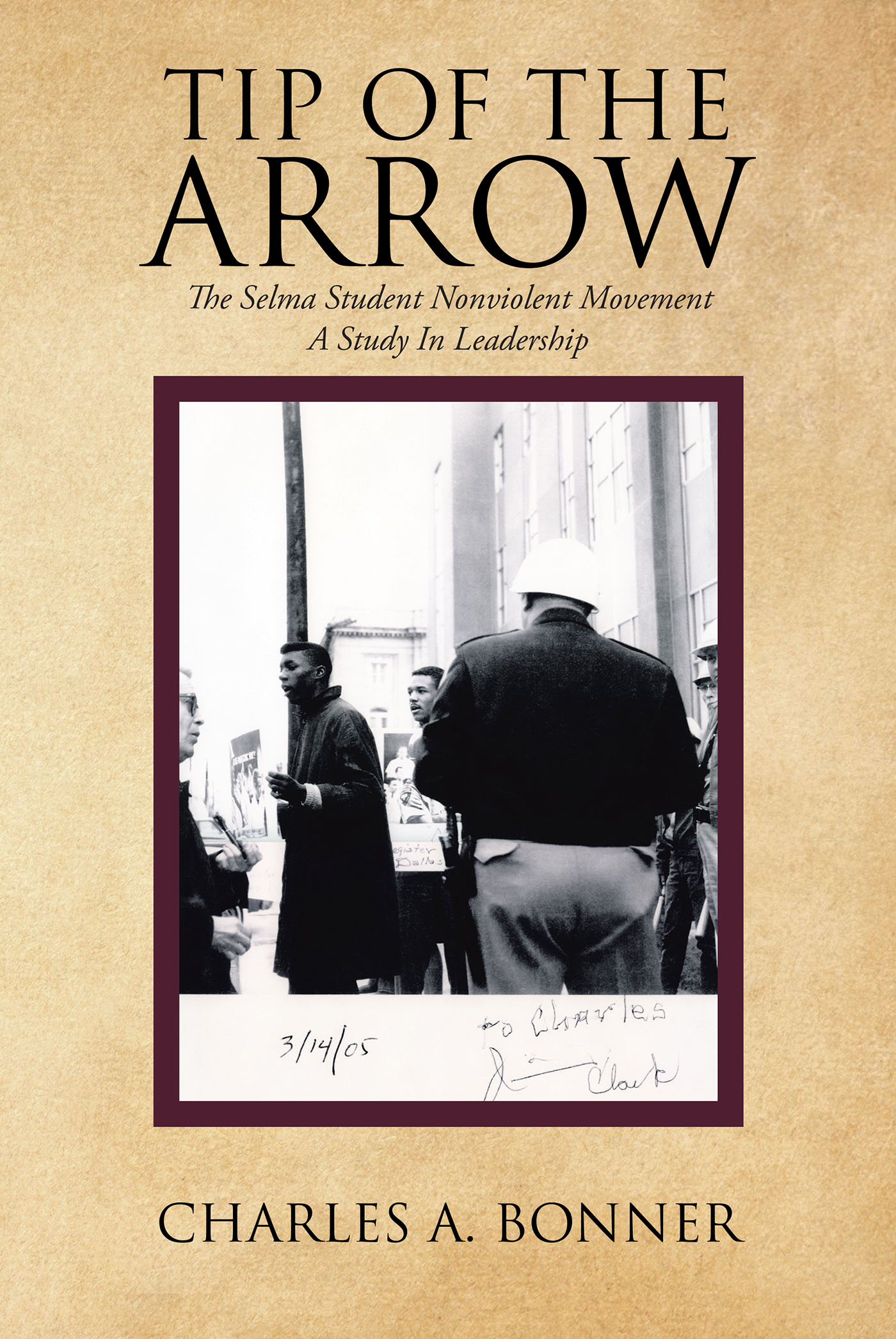 Cover image for Tip of the Arrow