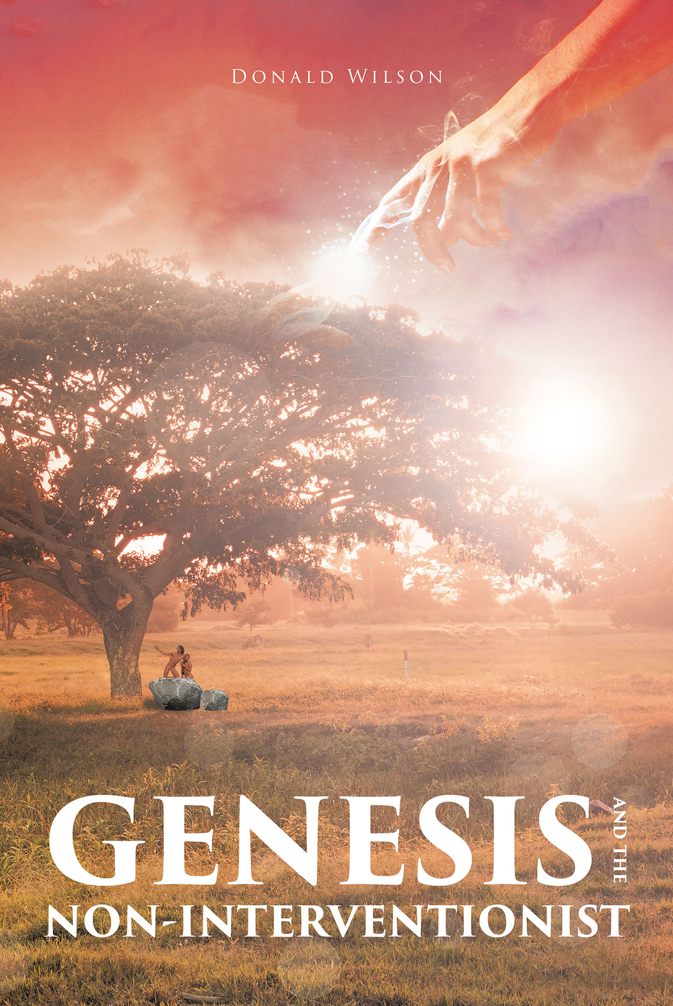 Cover image for GENESIS AND THE NON-INTERVENTIONIST