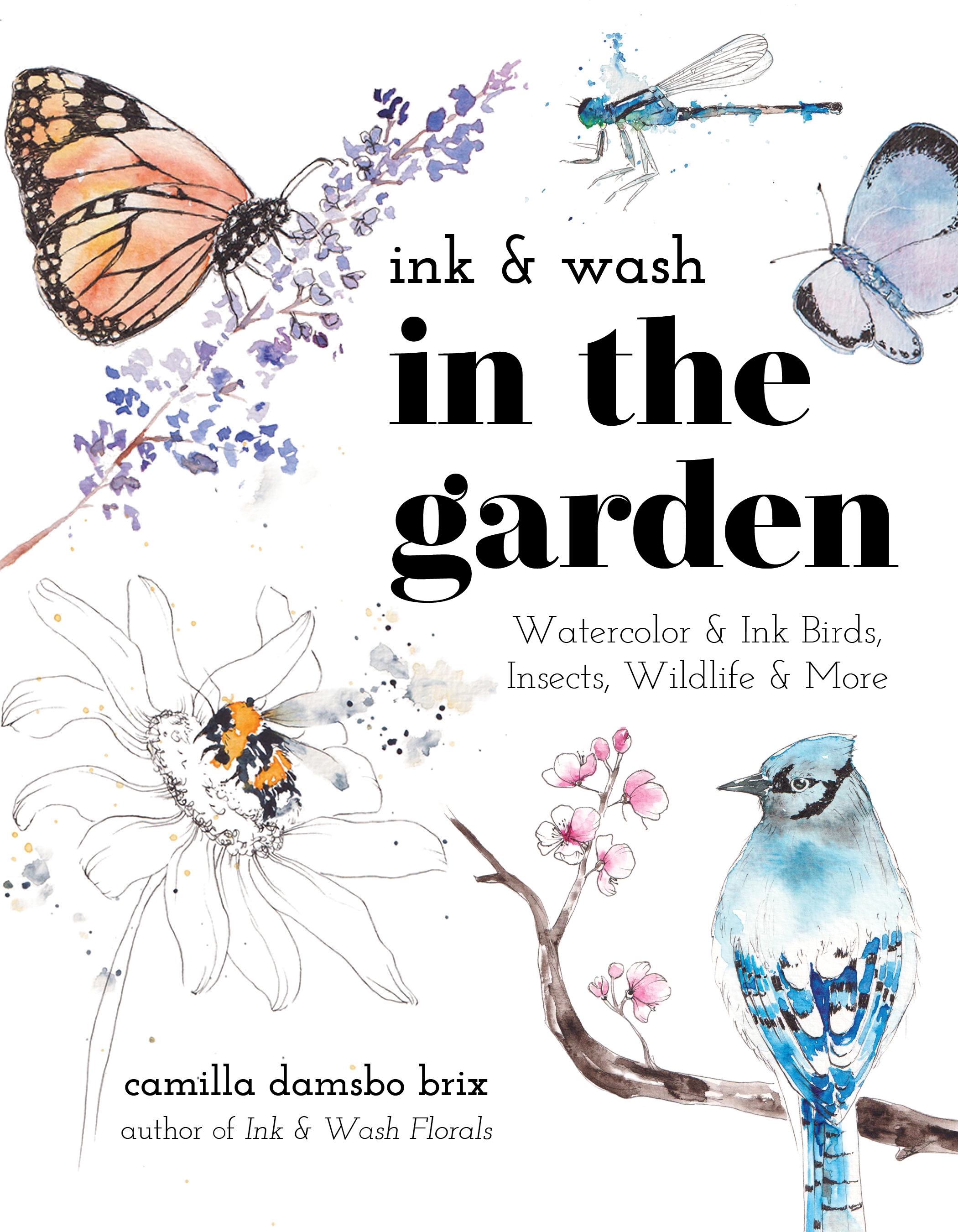 Cover image for Ink & Wash in the Garden