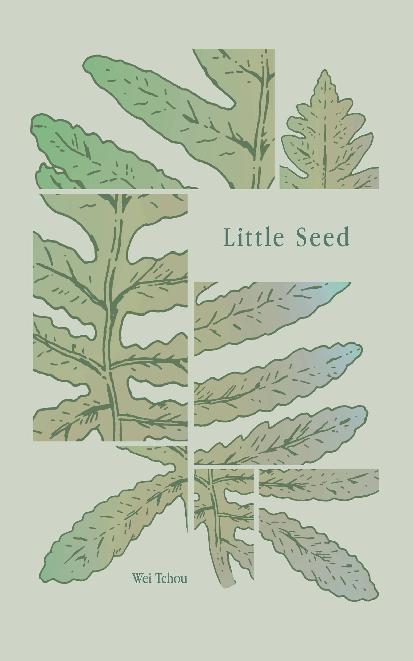 Cover image for Little Seed