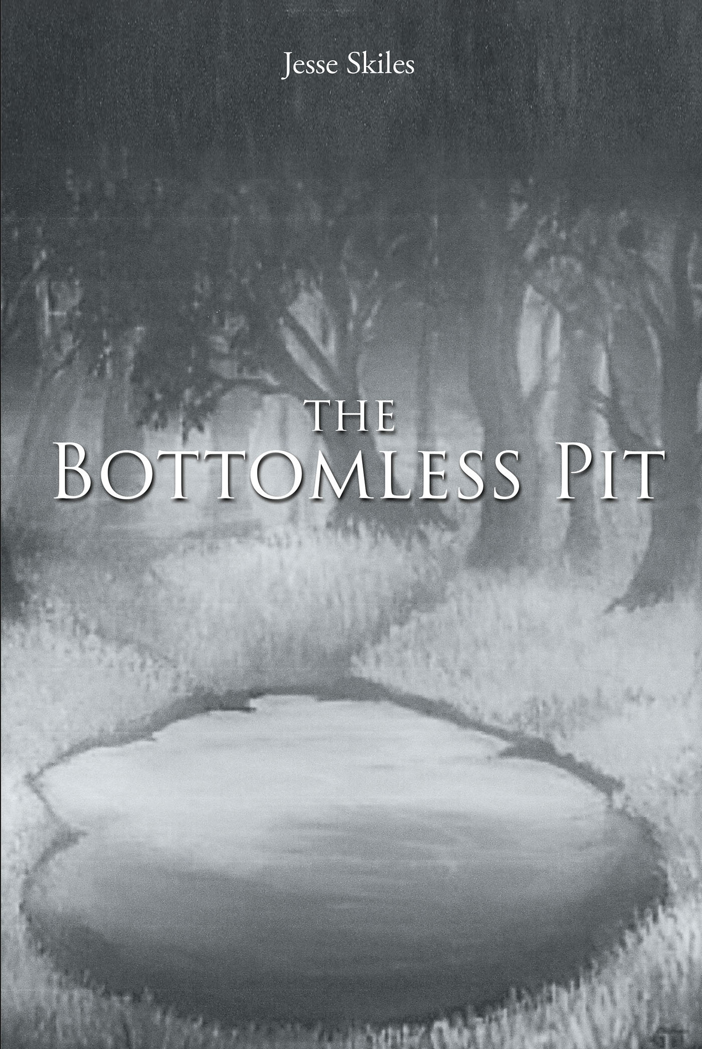 Cover image for The Bottomless Pit
