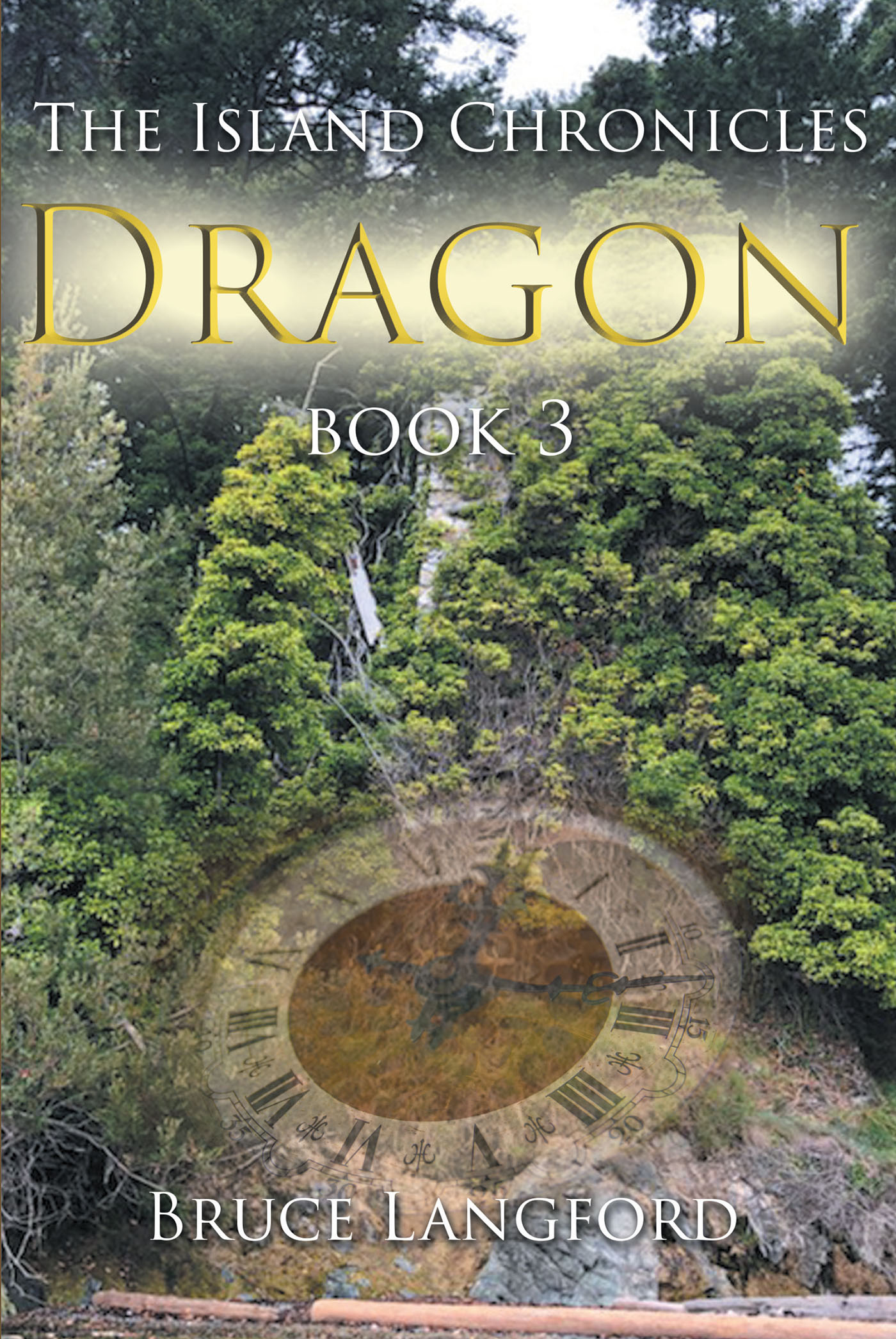 Cover image for Dragon