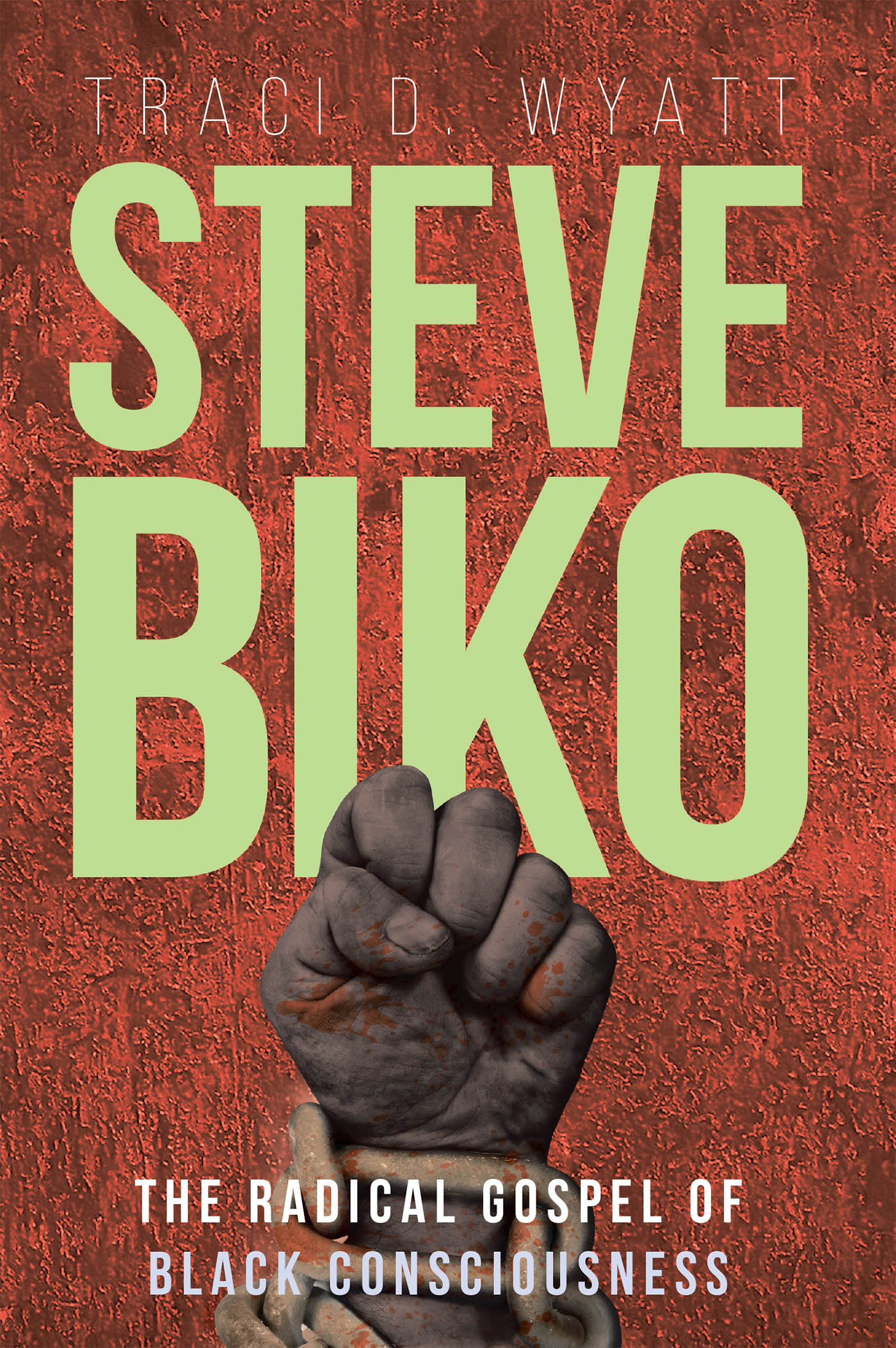 Cover image for Steve Biko