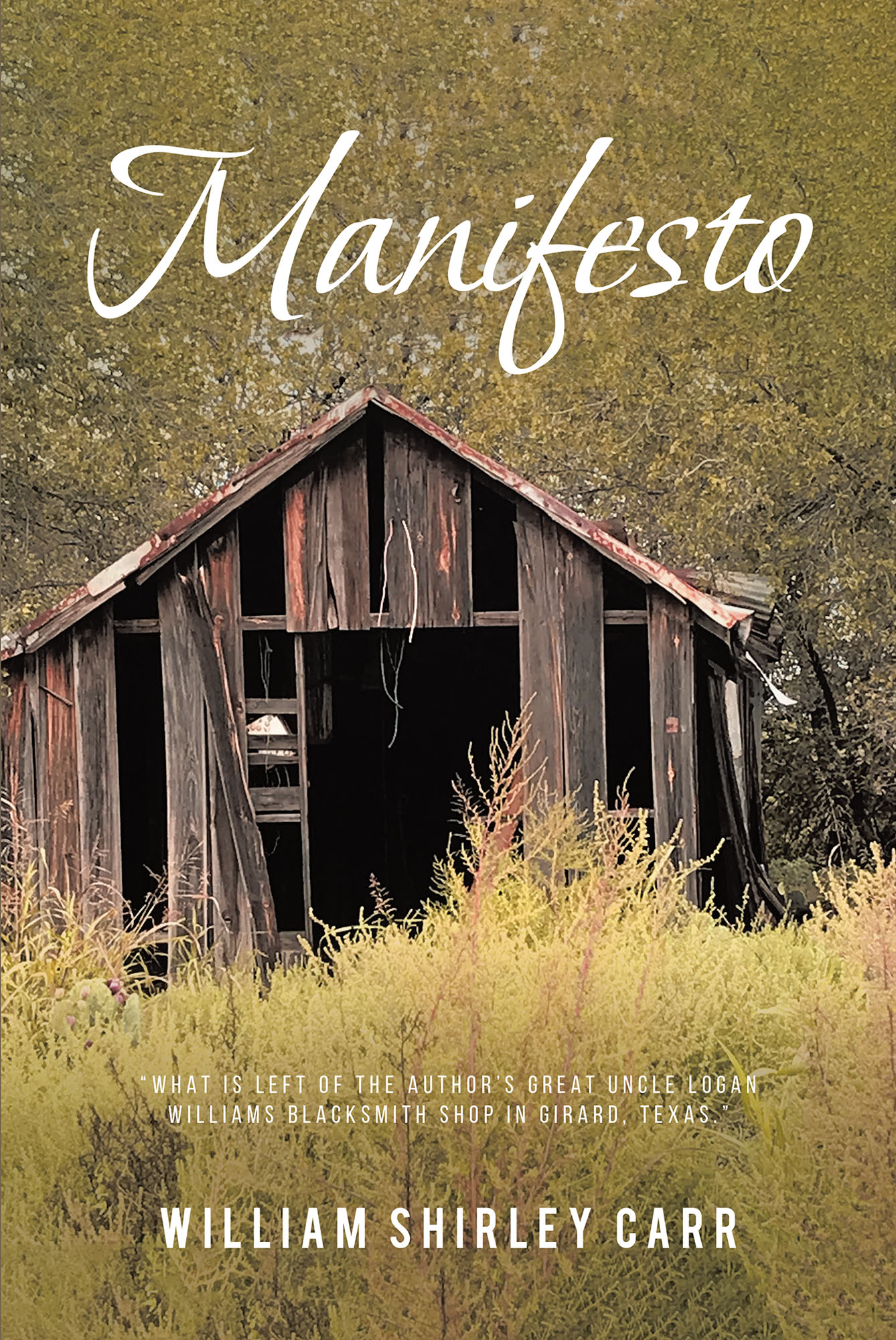 Cover image for Manifesto