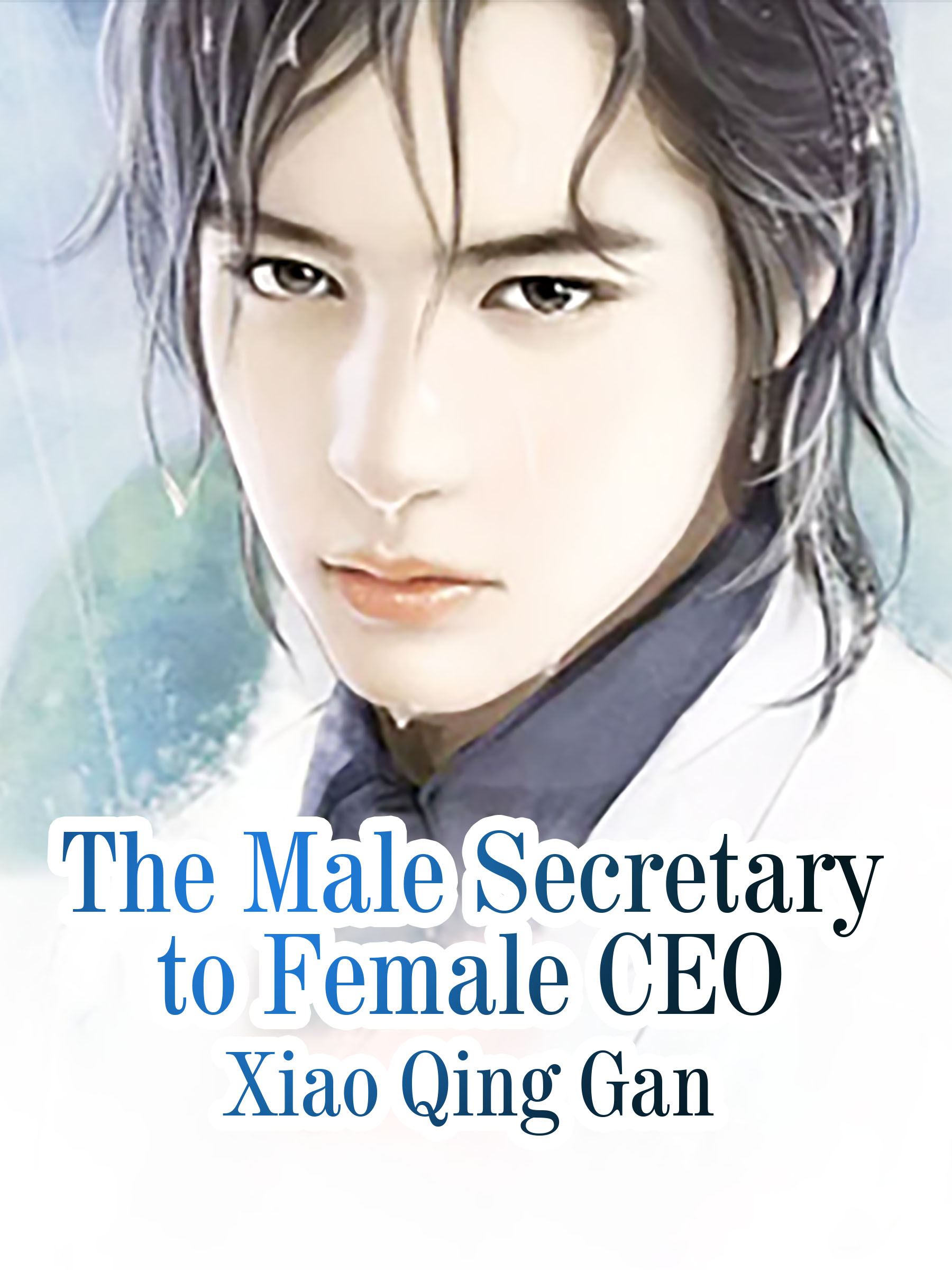 Cover image for The Male Secretary to Female CEO